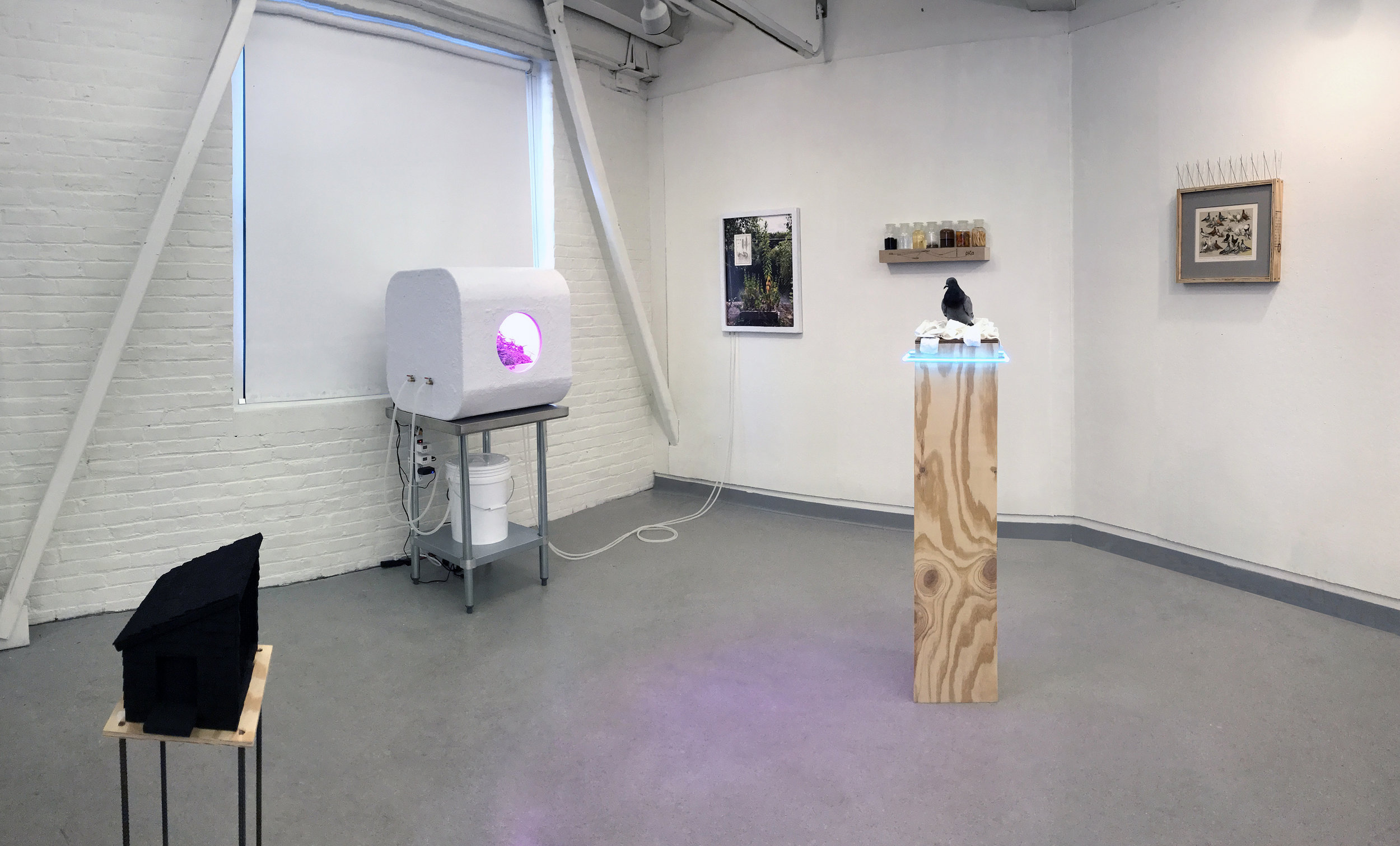 Installation View at NHIA