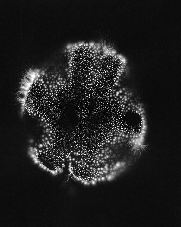 EDA88F1B-F9D1-485E-854F-67166F21CEC5.jpeg