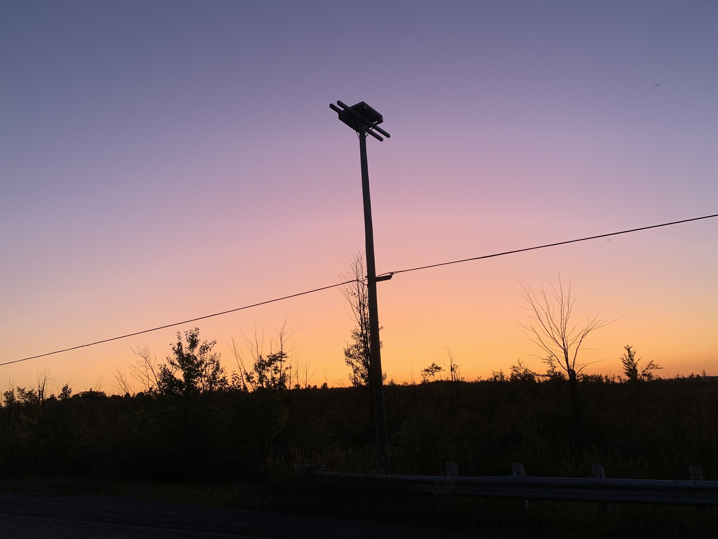 362AAABF-EB29-49AF-81AB-60E3E60E42E0.jpeg