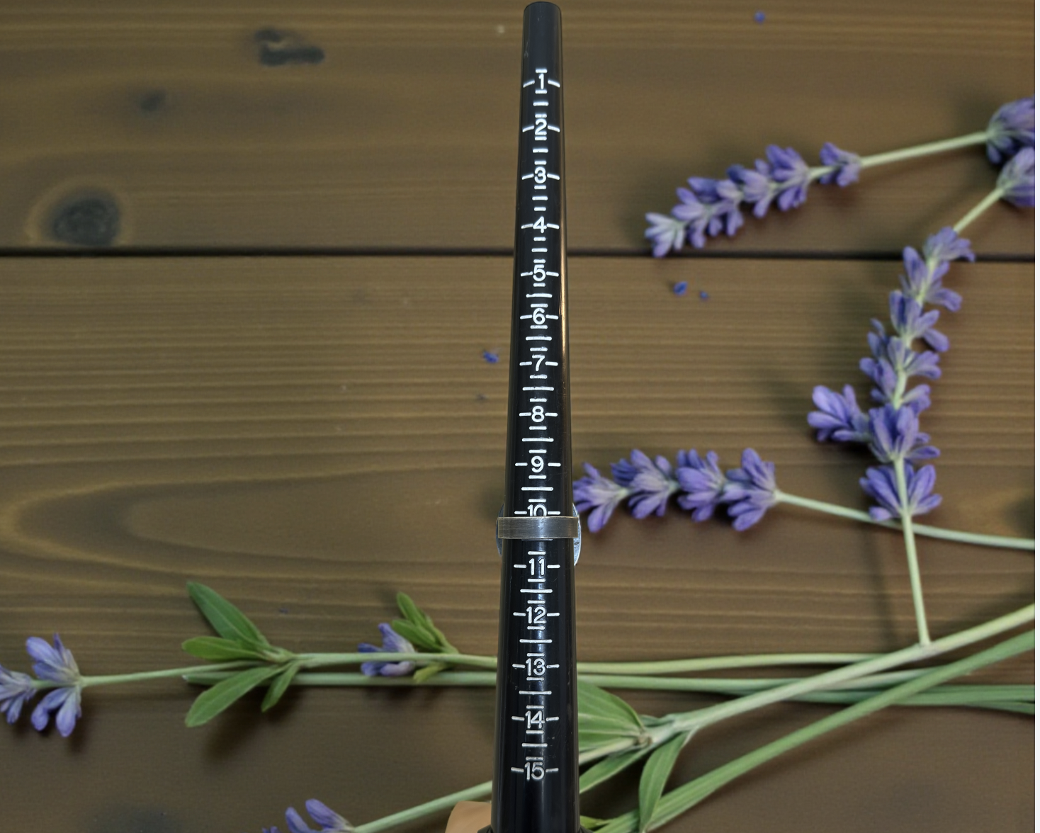 Image 2-5-26 at 12.27 PM.png