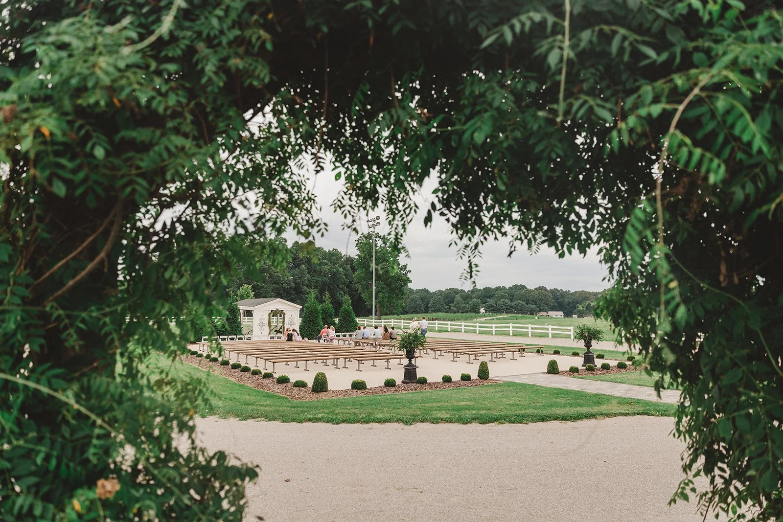0250_teralexwedding.jpg
