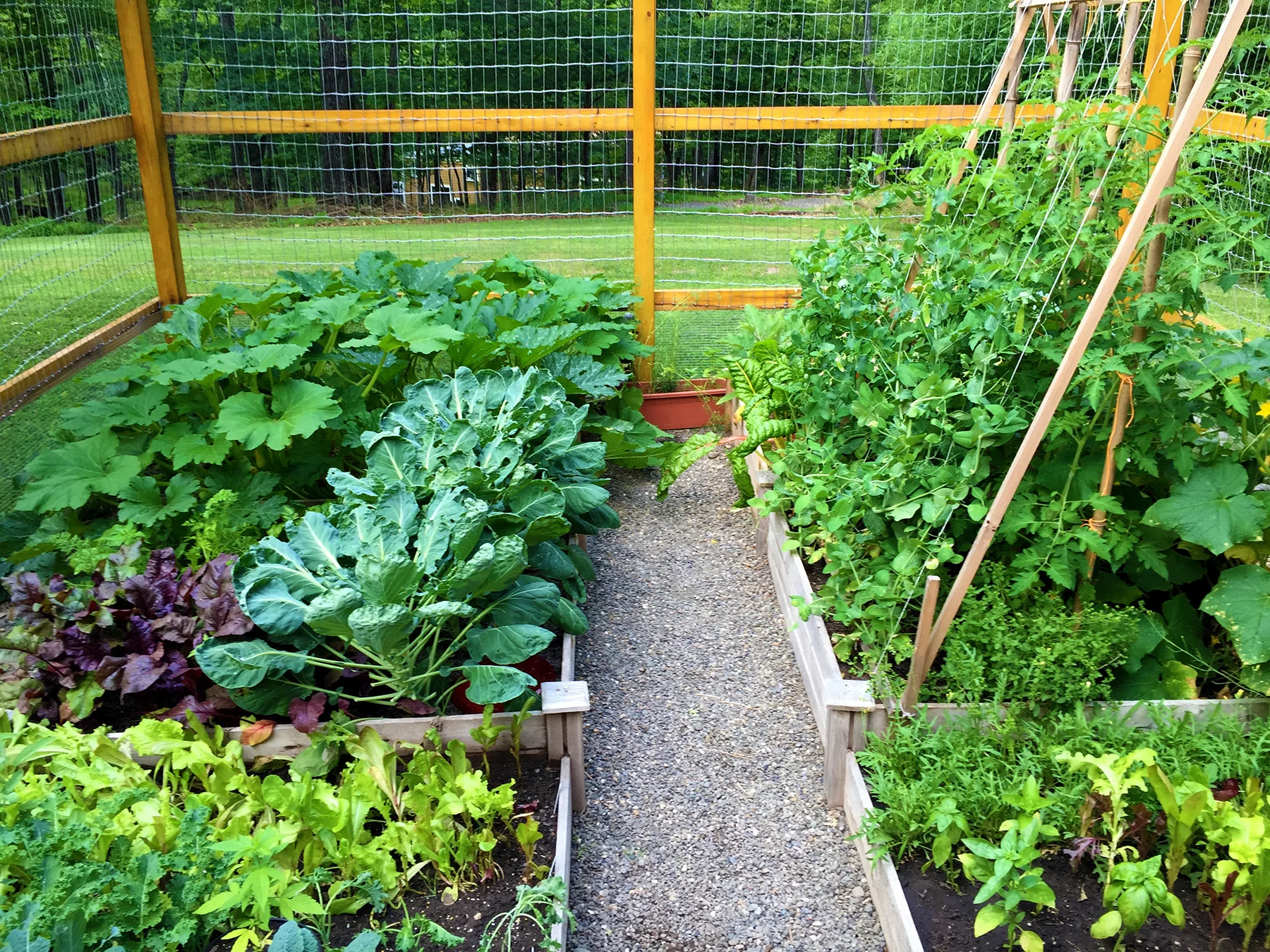 garden.jpg