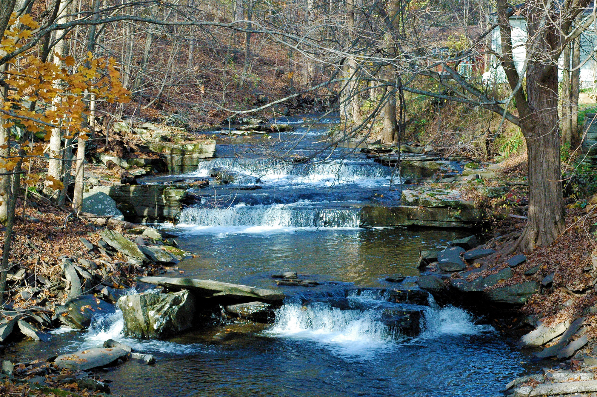 river.jpg