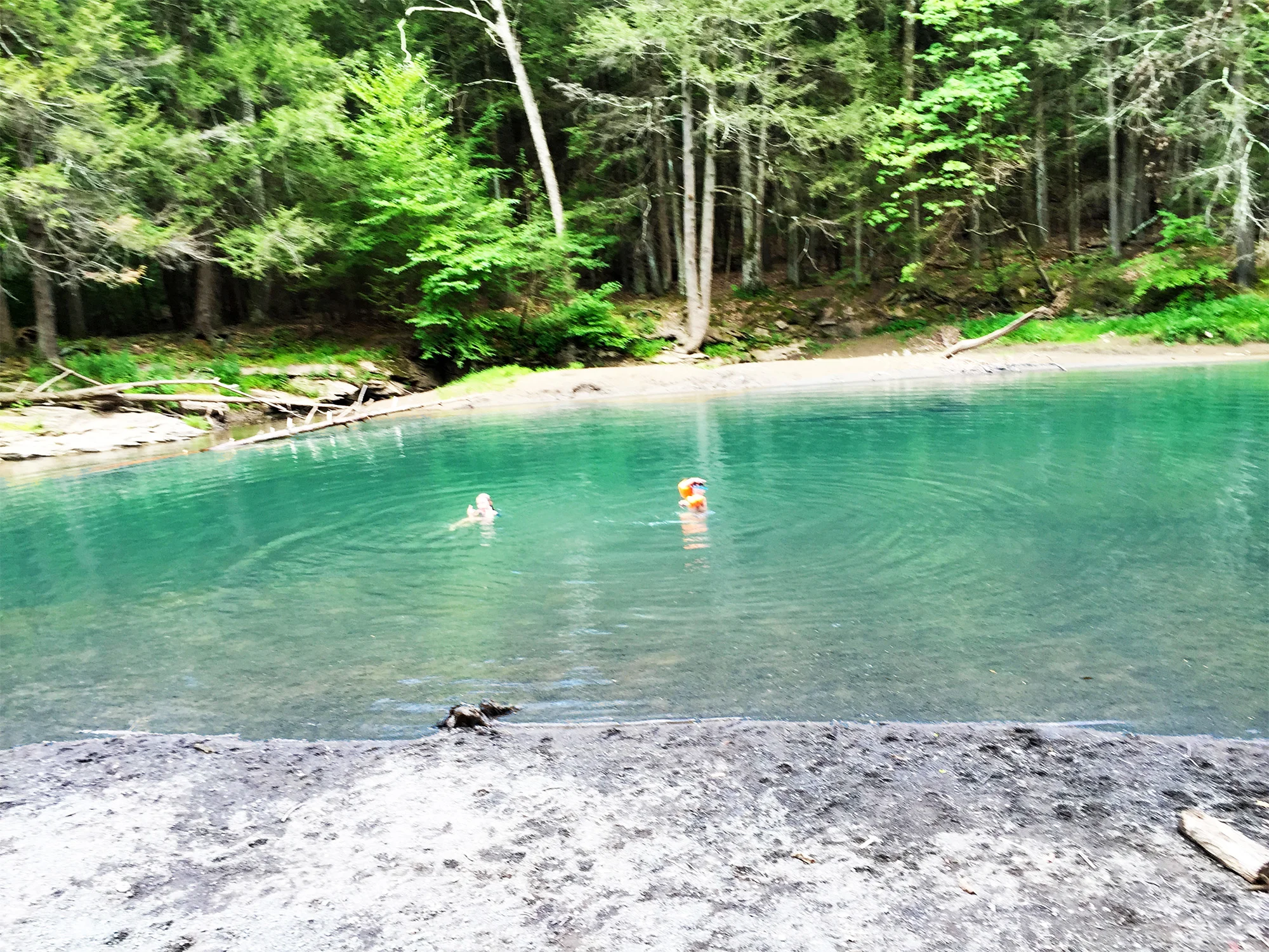 swimming.jpg