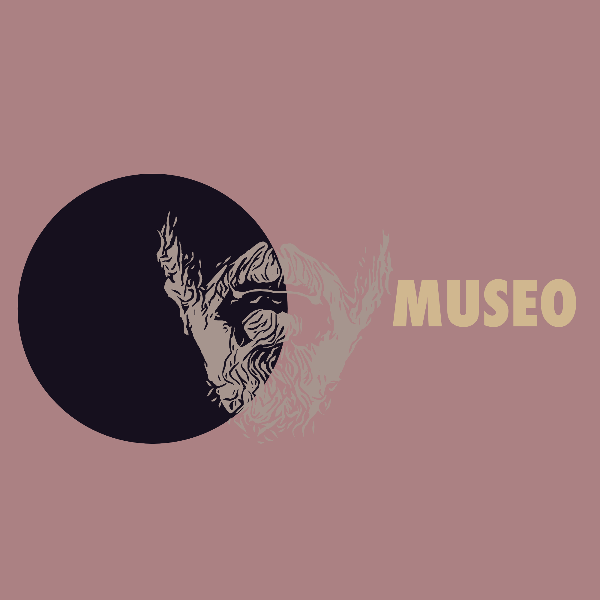 AE_Home_Museo.png
