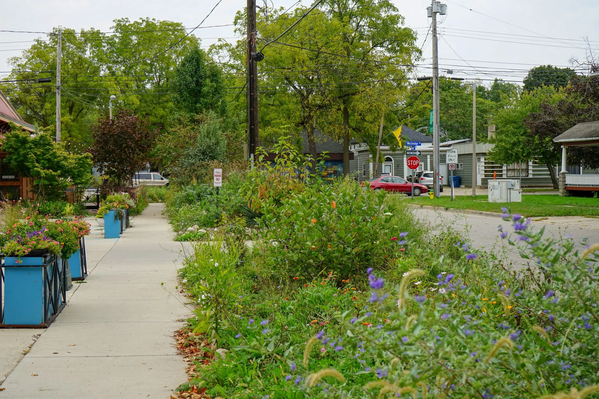 Vine Neighborhood Feature — Imagine Kalamazoo