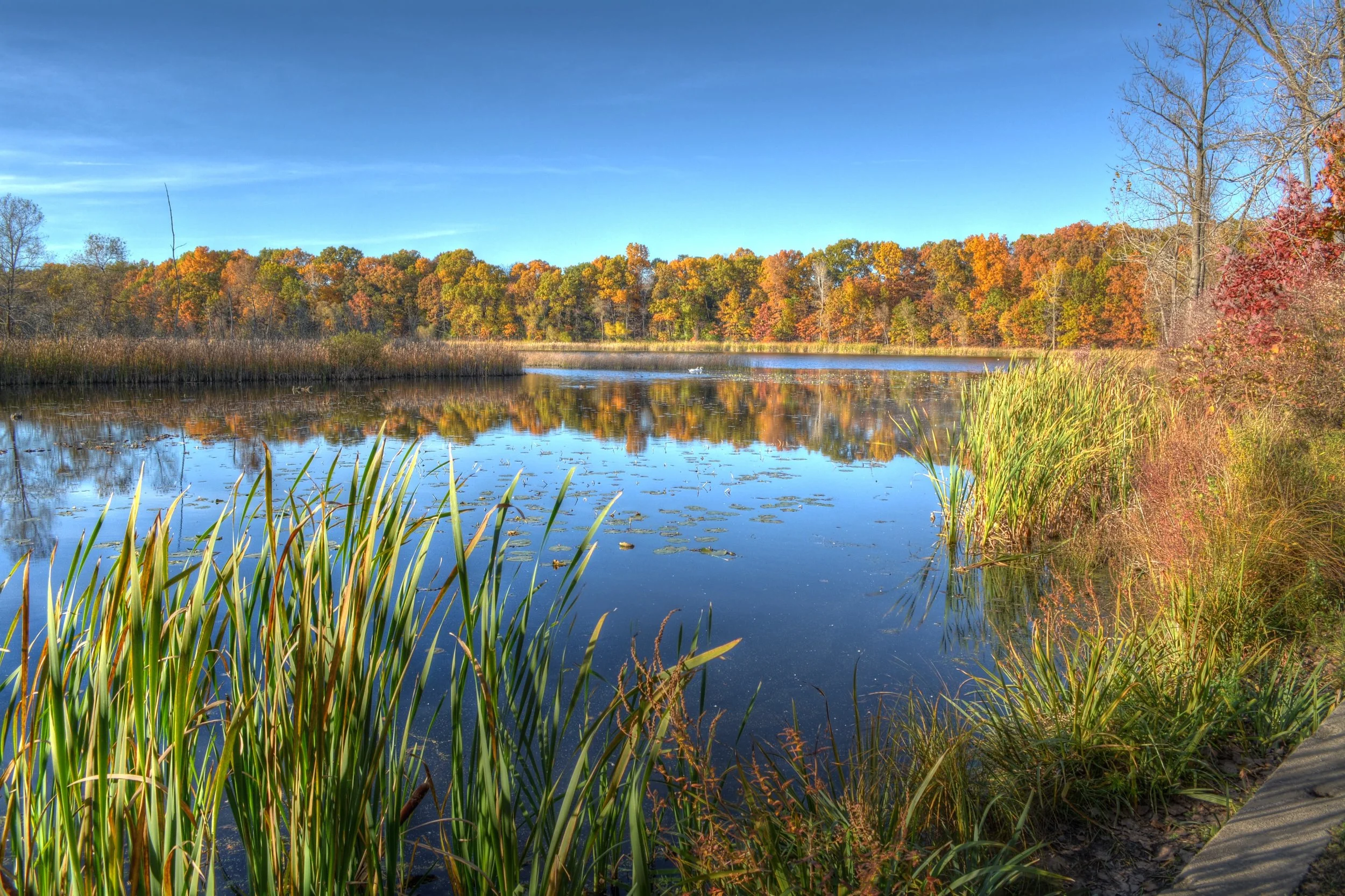 Phase 1 Natural Features Protection: Ordinance and Development Standards