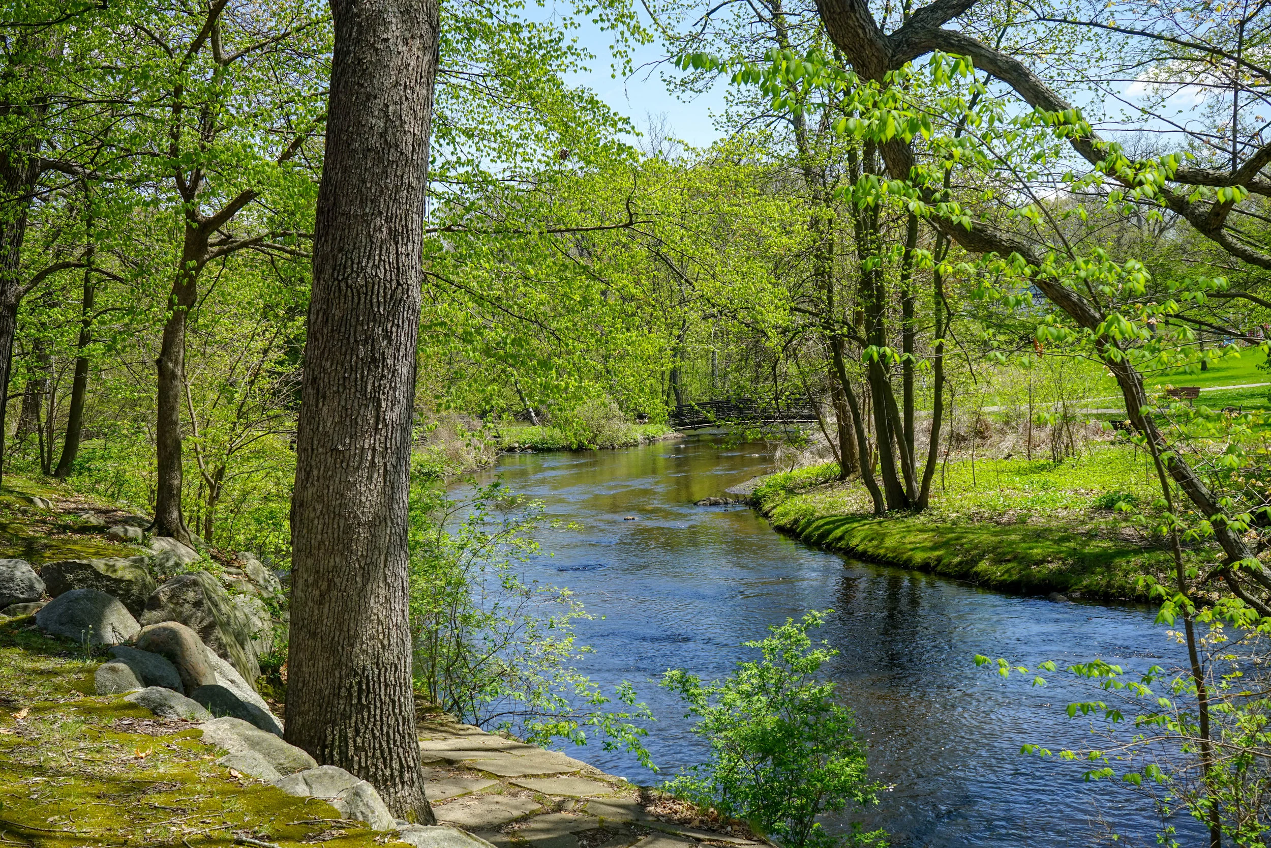 Natural Features Protection Overlay District Approved by Kalamazoo City Commission