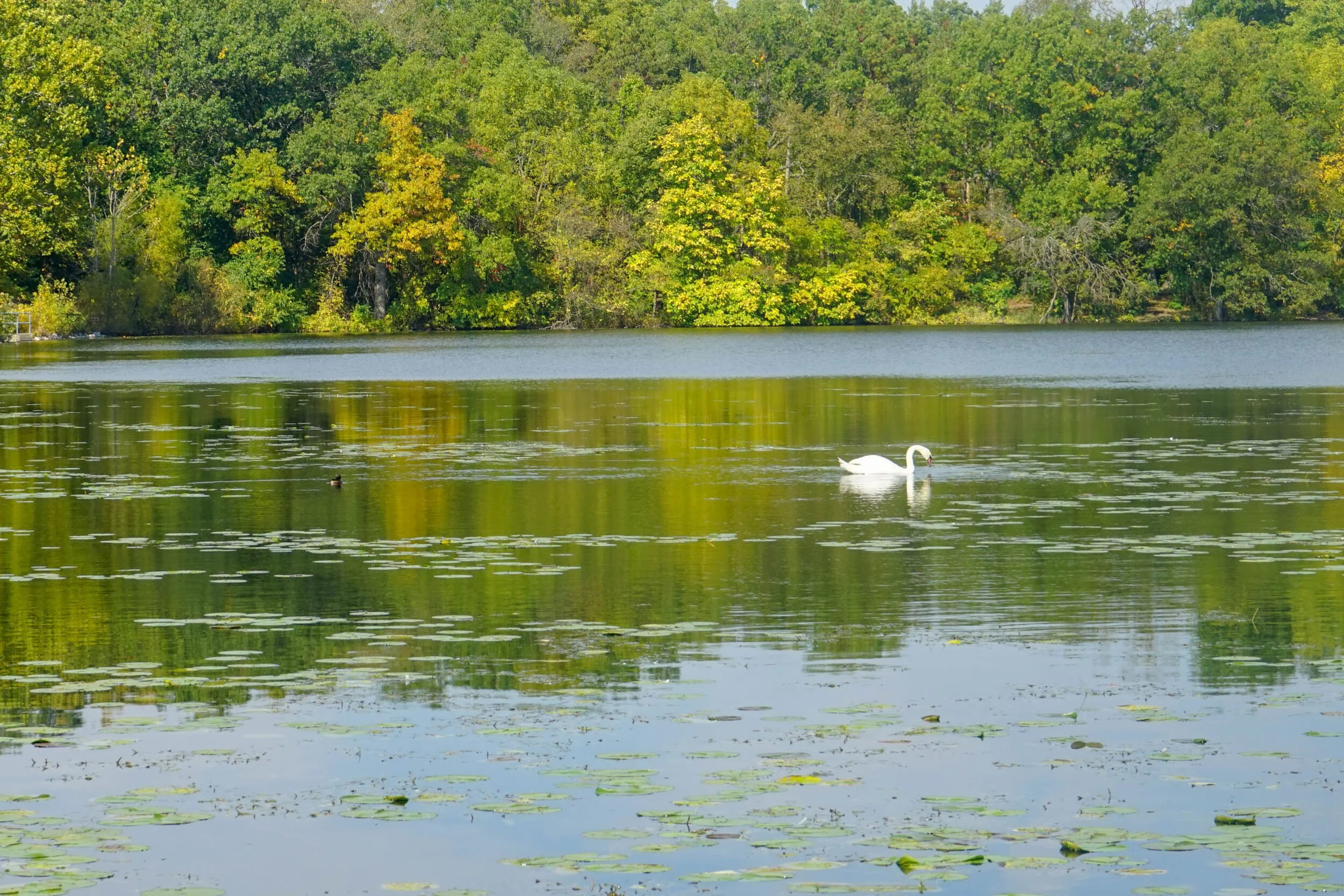 Phase 2: Mapping Natural Features for Protection
