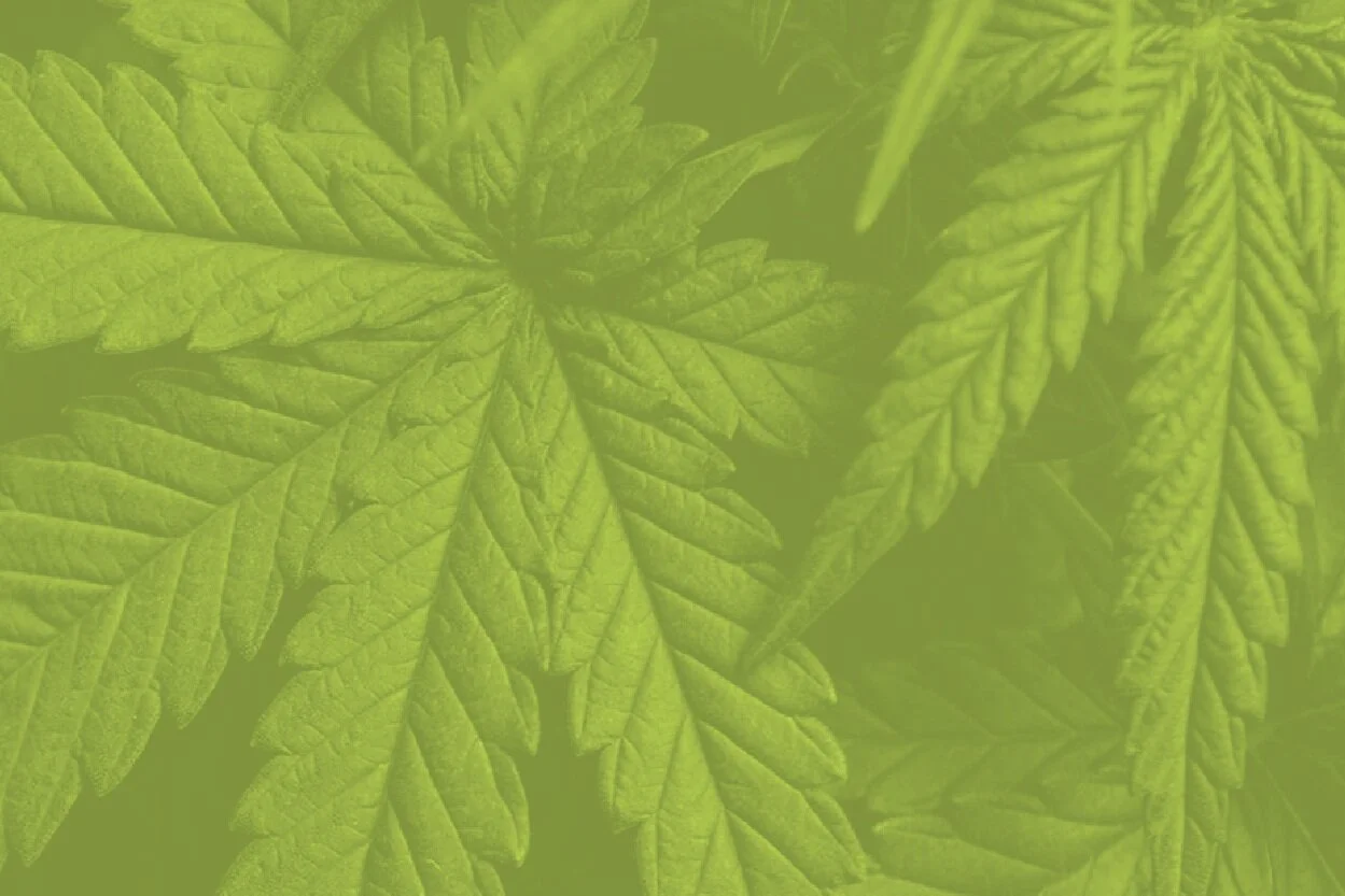 Adult Use Marihuana Ordinance