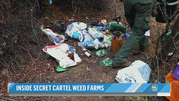 Trash and toxic chemicals at an illegal marijuana grow site