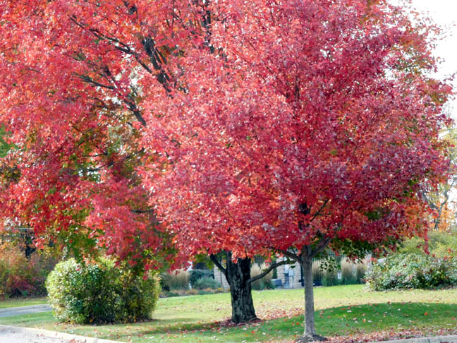 DSCN4826.JPG