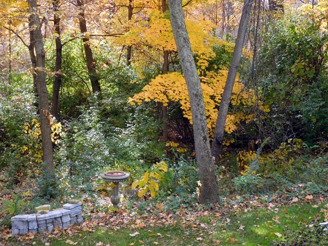 DSCN4827.JPG