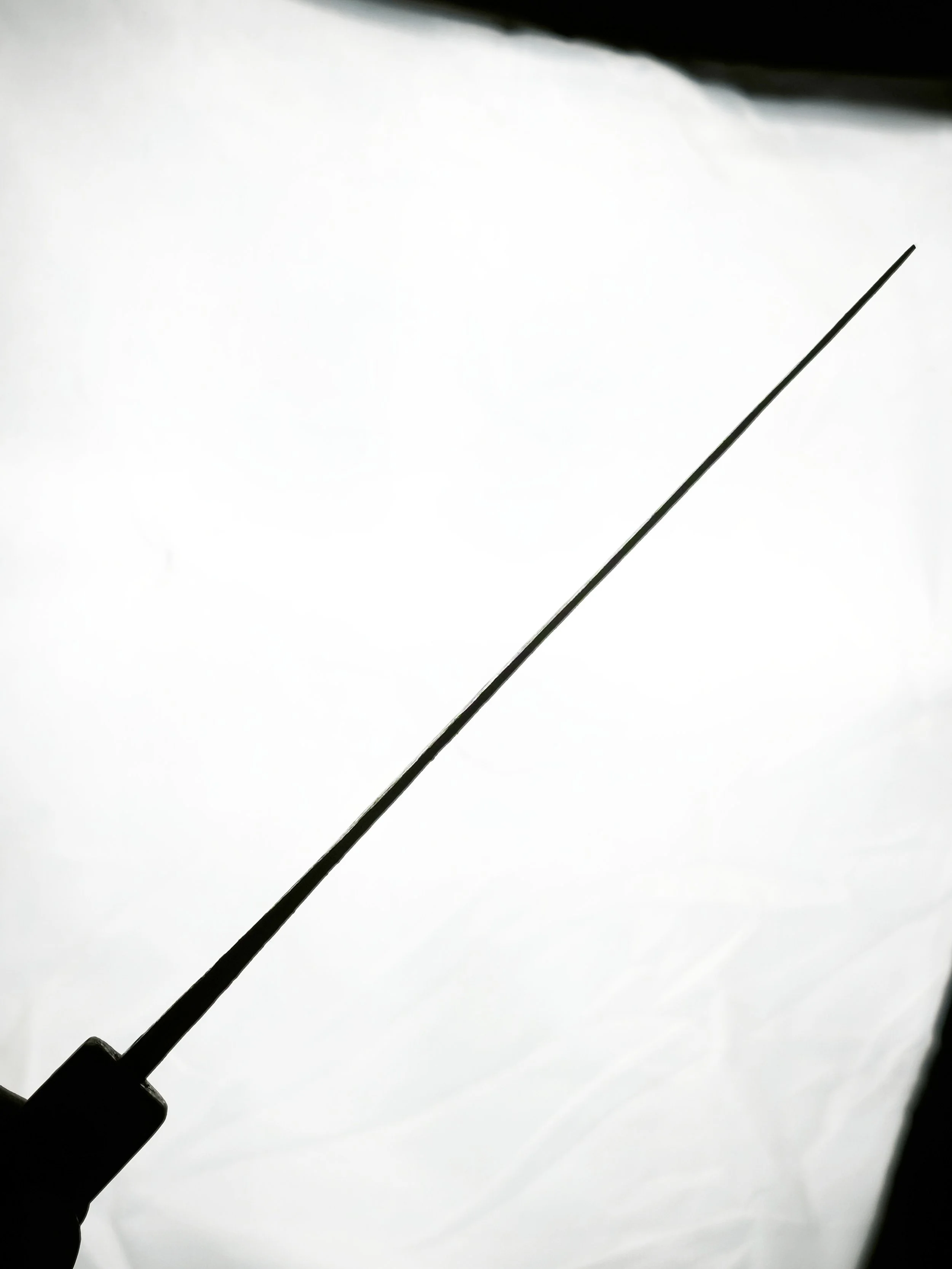 41082.jpg