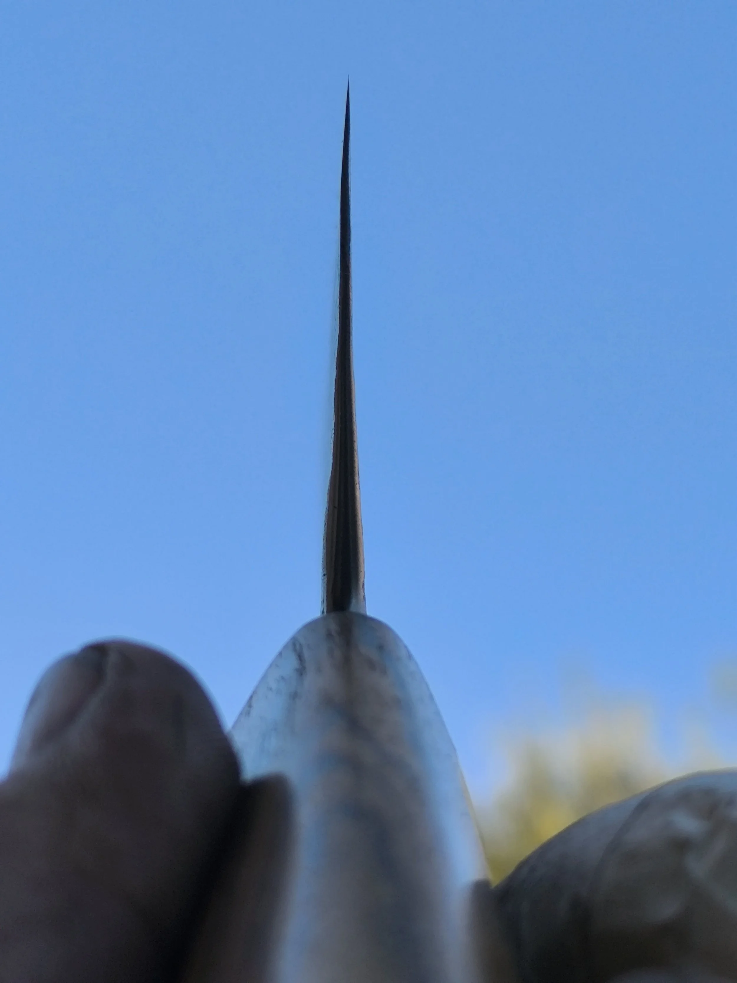 1000084924.jpg