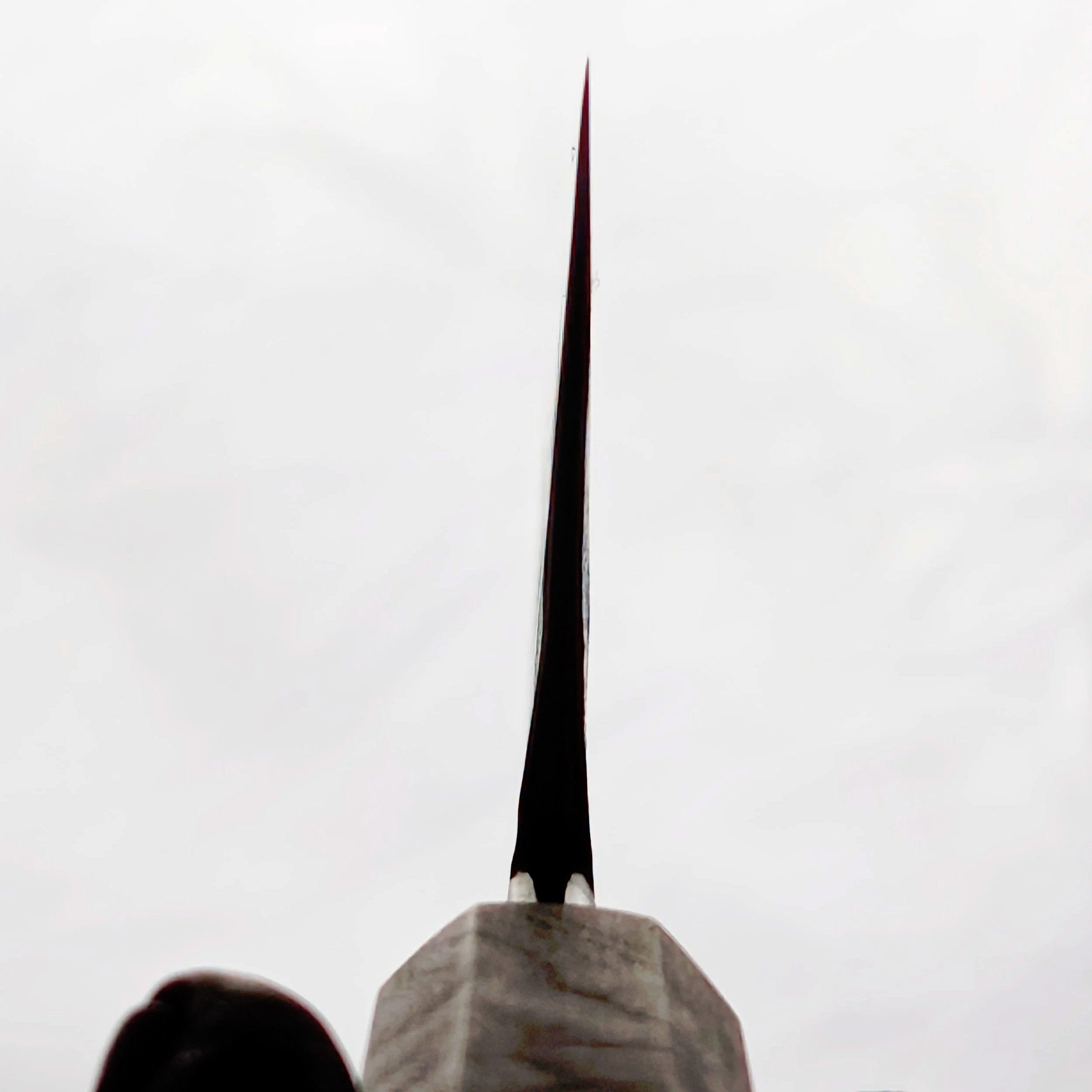 63389.jpg
