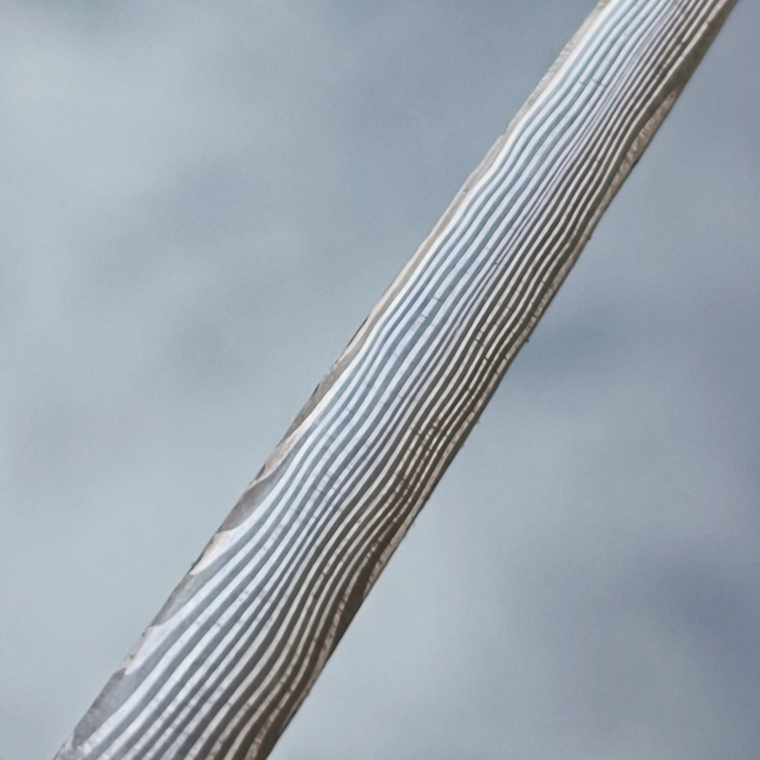 73473.jpg