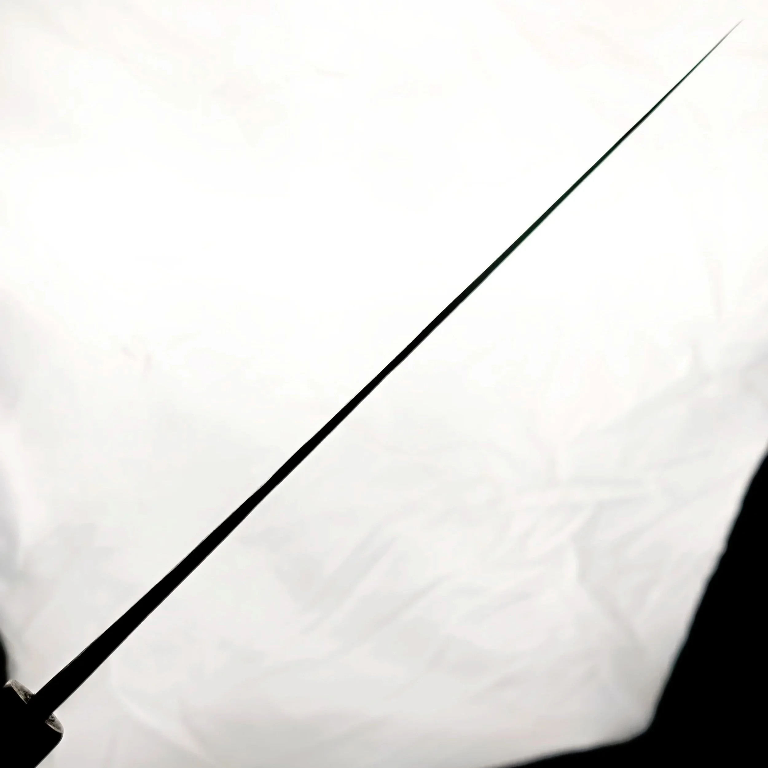 63390.jpg