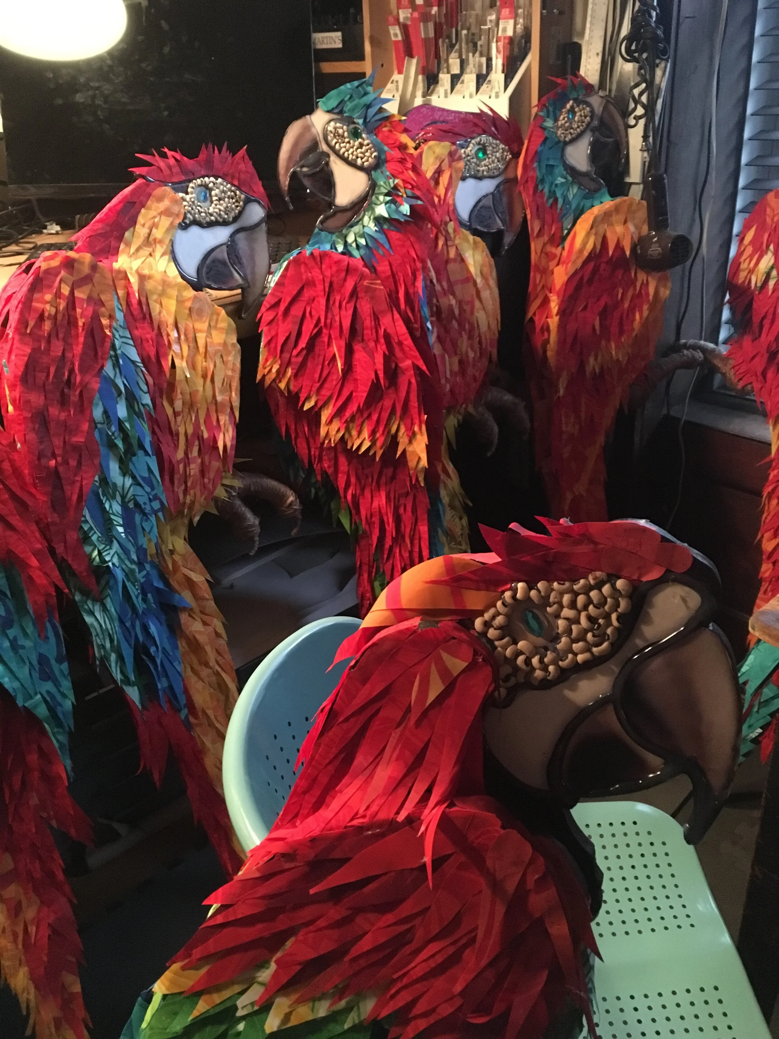 PARROTS5.JPG