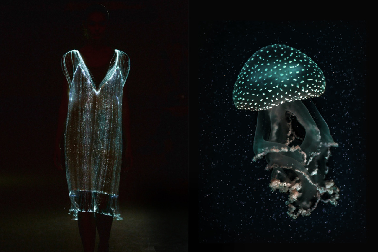 Match #296 Richard Nicoll Spring 2015 | Jellyfish