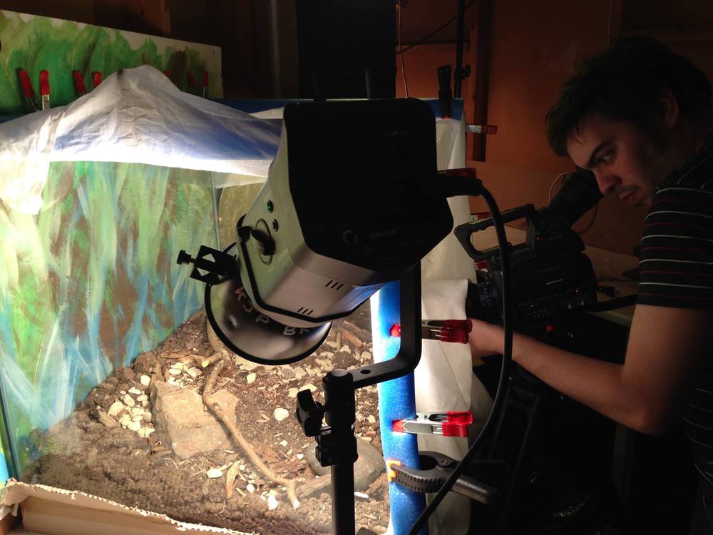 Have You Ever Wondered How Some Nature Documentaries Are Filmed? — RETOUCHIST Have You Ever Wondered How Some Nature Documentaries Are Filmed? — RETOUCHIST
