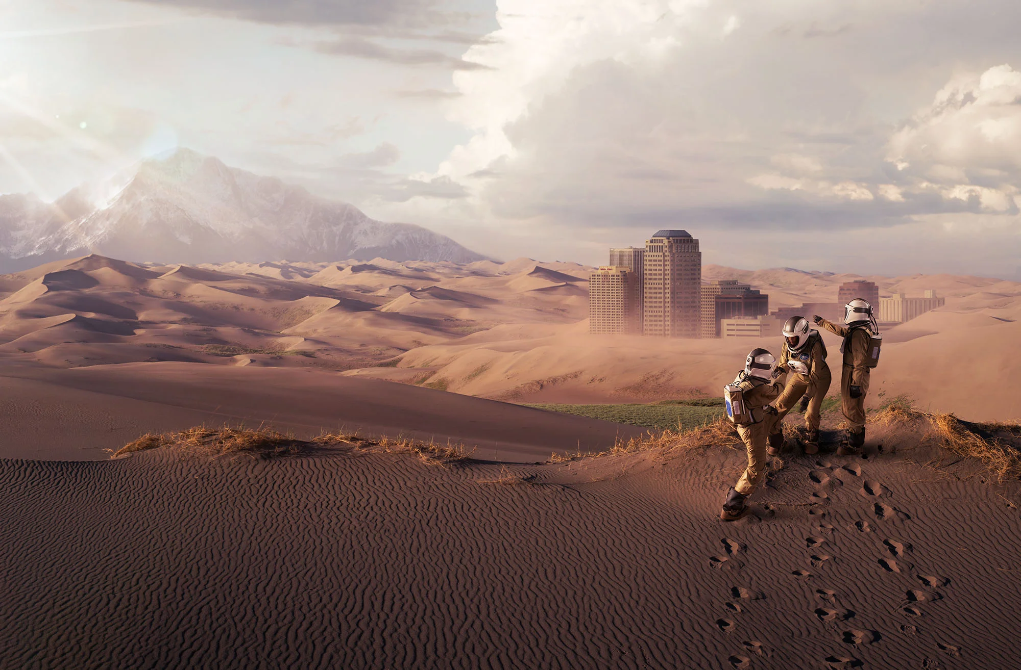 WVC_Cover_Composite_1_WEB.jpg