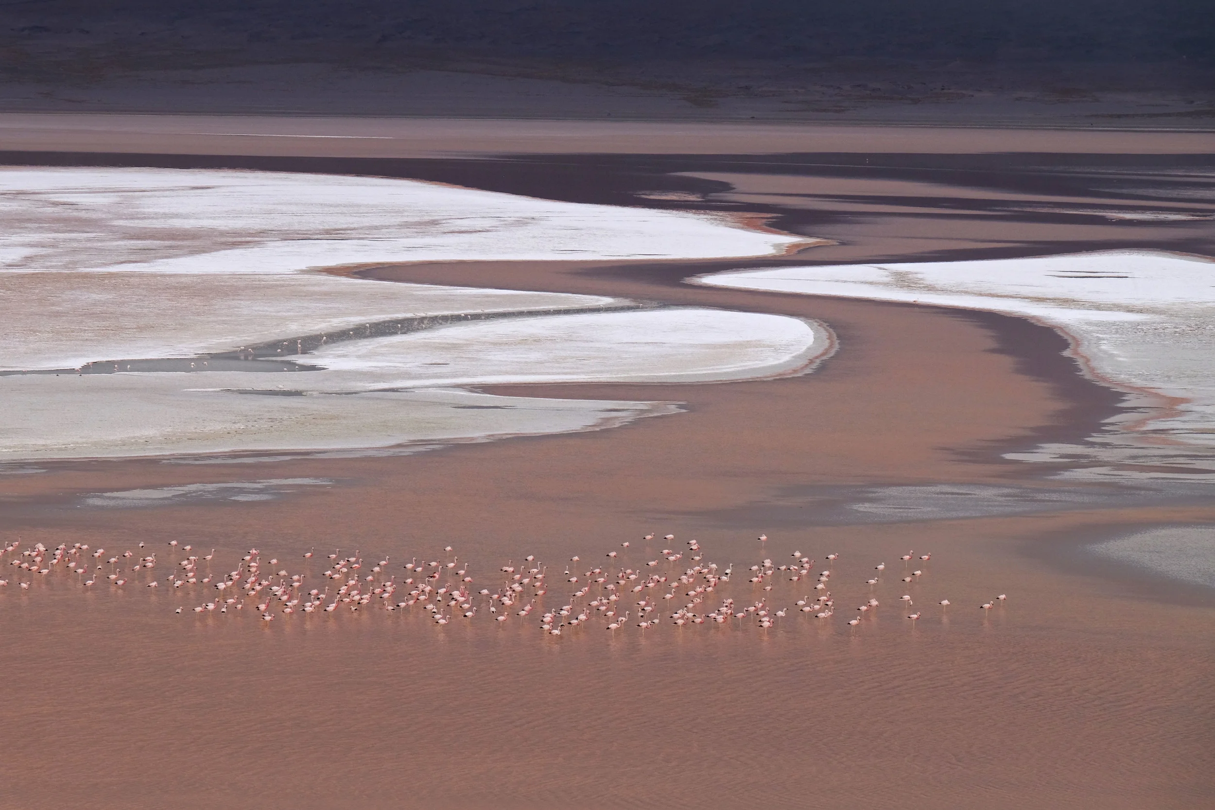 laguna_colorada,redlake.jpg