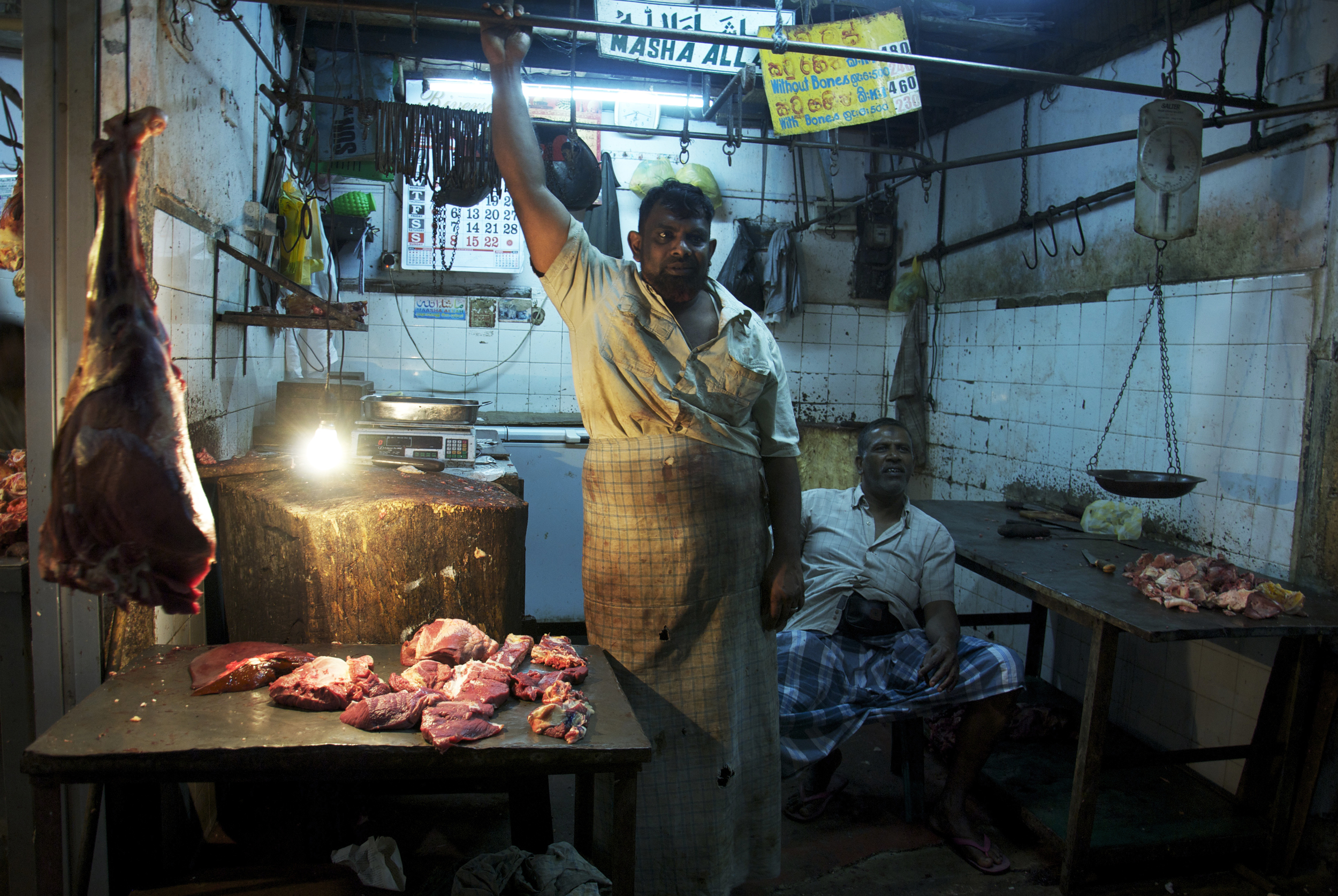 DSC_0525.KCBX.N .jpg