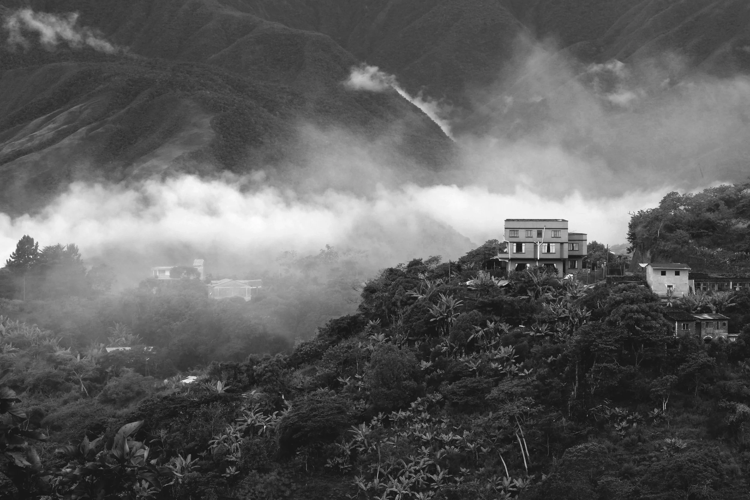 wild home