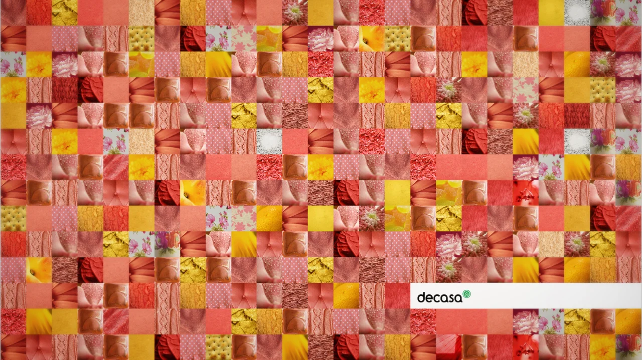 decasa ids_00002.jpg
