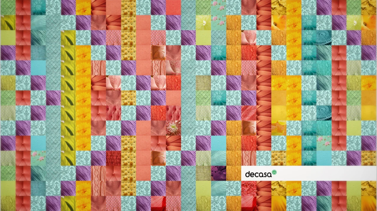 decasa ids_00006.jpg