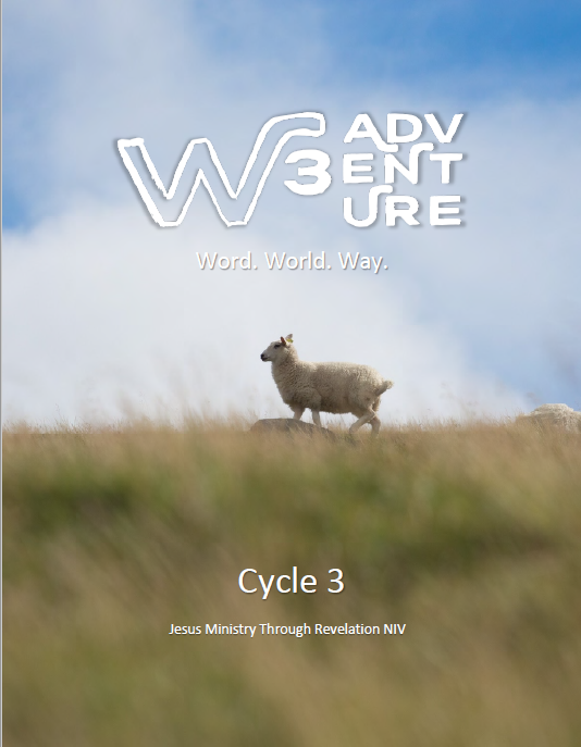 Cycle 3 wkbk NIV graphic.PNG