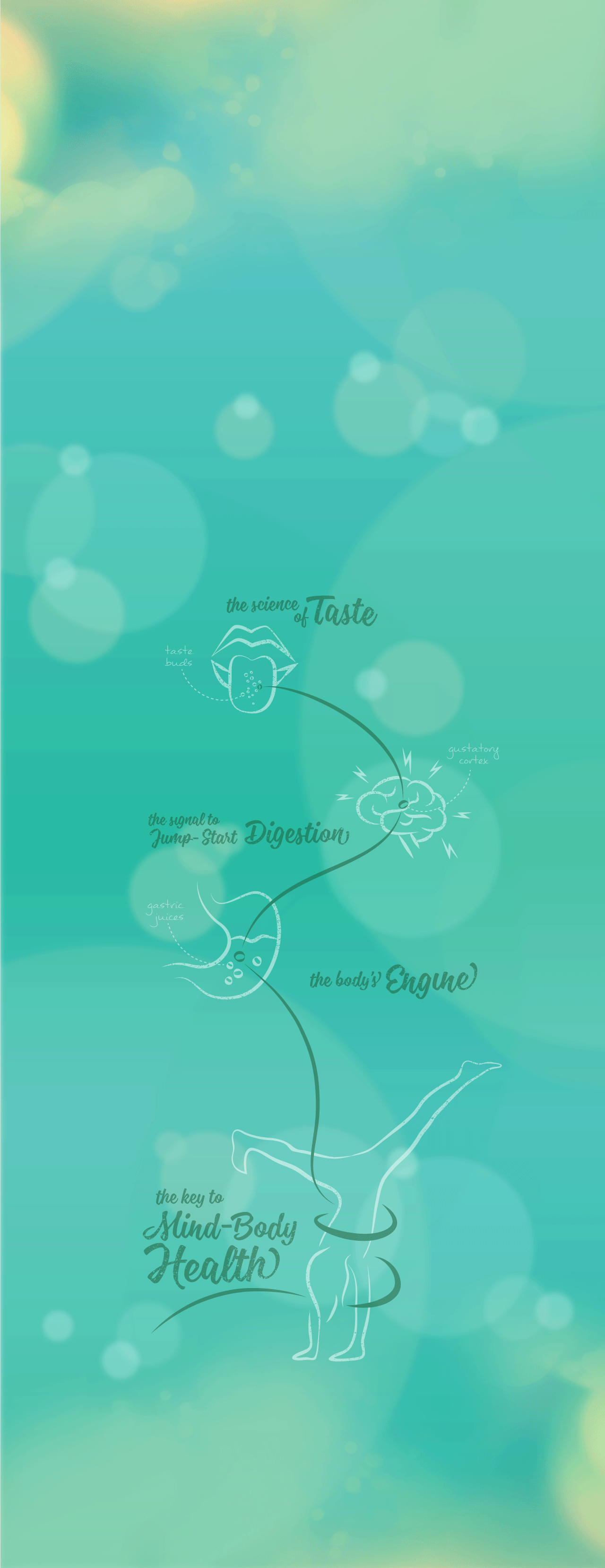 TYG_INFOGRAPHIC_FOR_WEB_BG.png