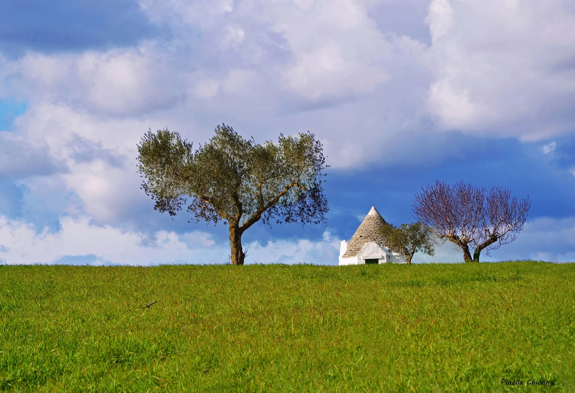 landscape-1307512_1920.jpg