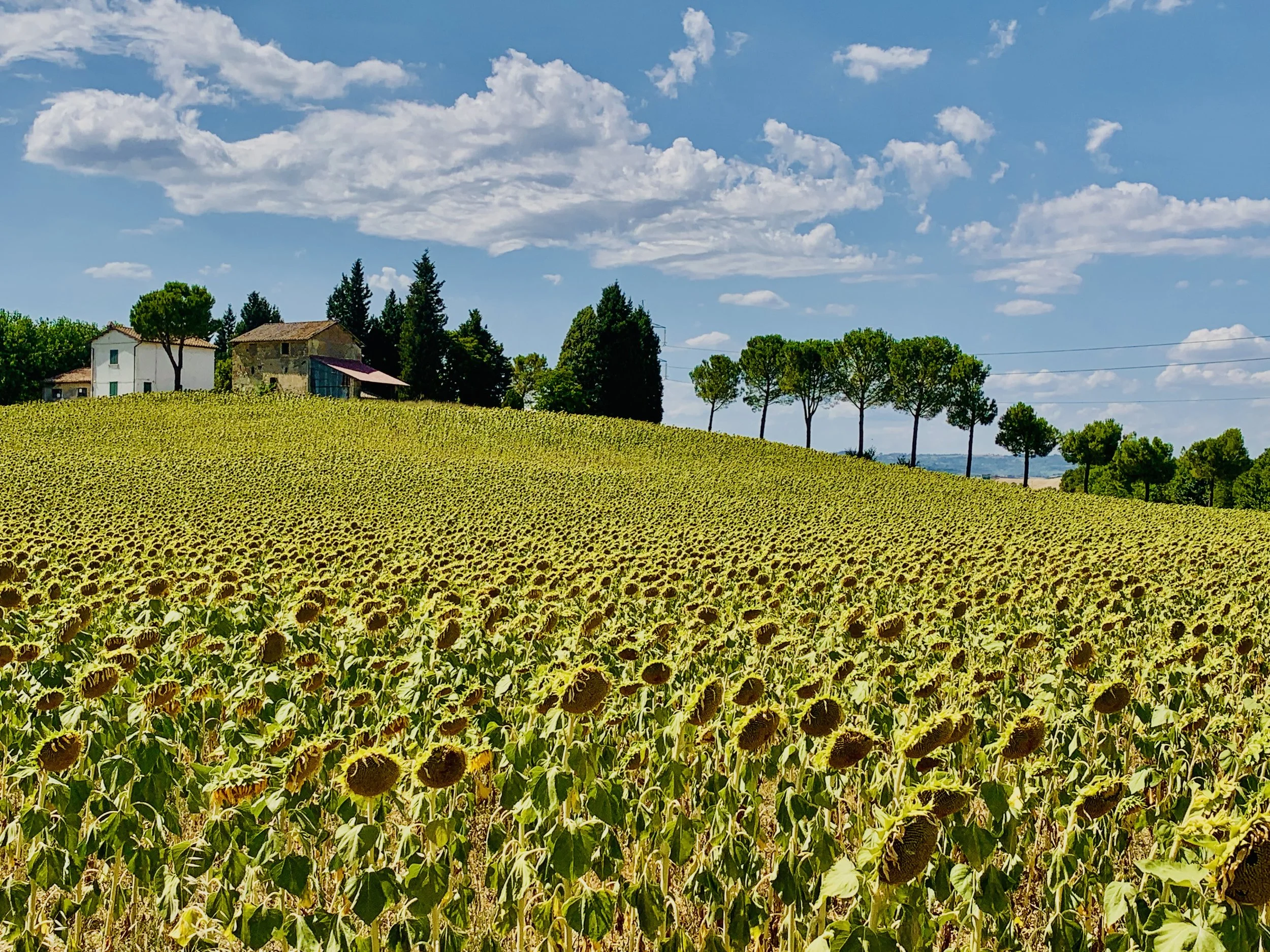 divoradestinations umbria tour