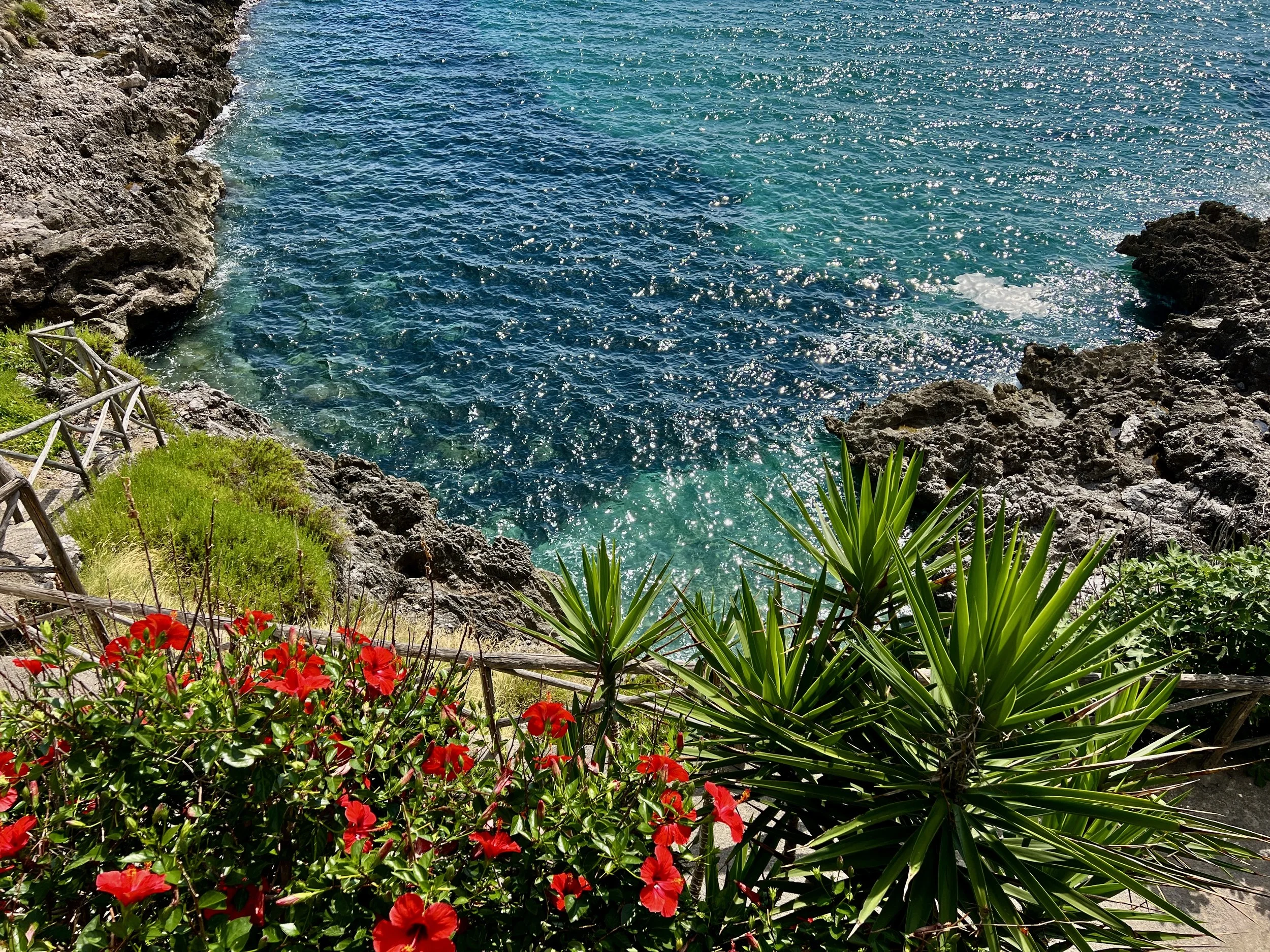 divoradestinations-marinadicamerota-culinarytour-italy-001.jpg
