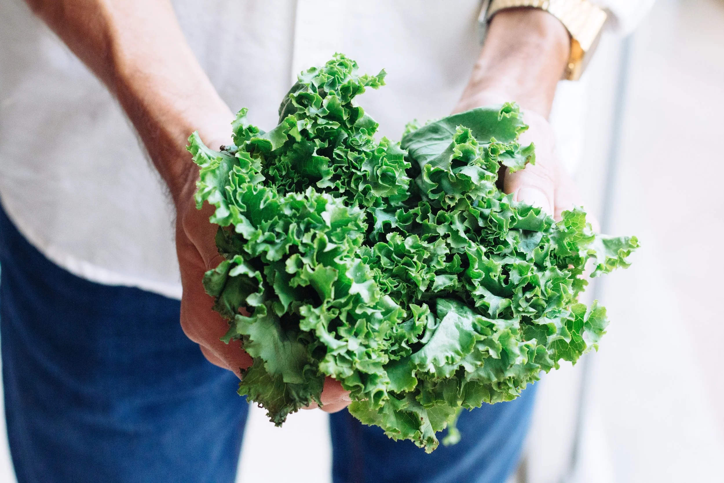 Growing salad greens indoors is delicious, and surprisingly easy.