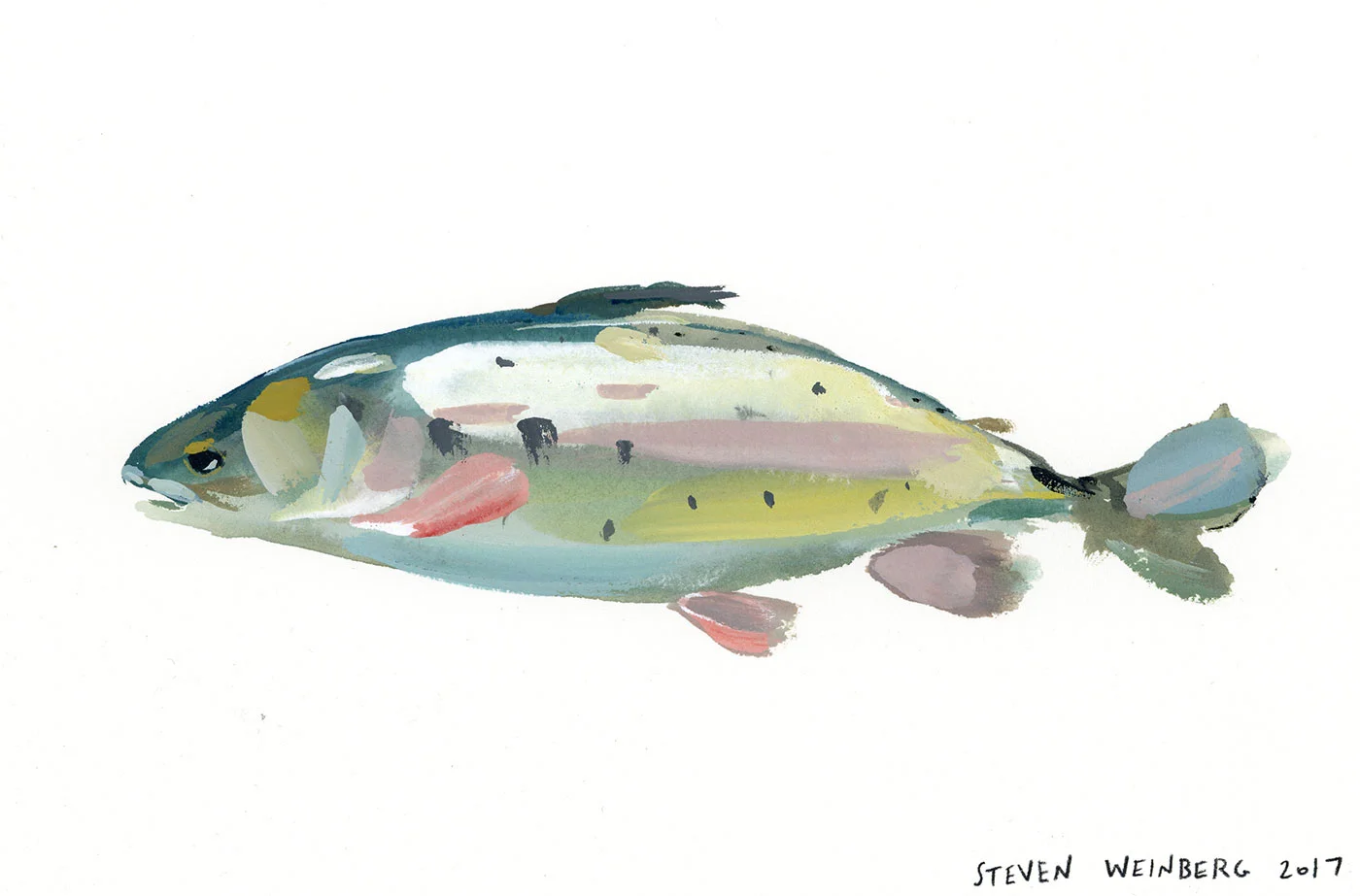 Stubborn Watercolor on paper. 8" x 11" $340