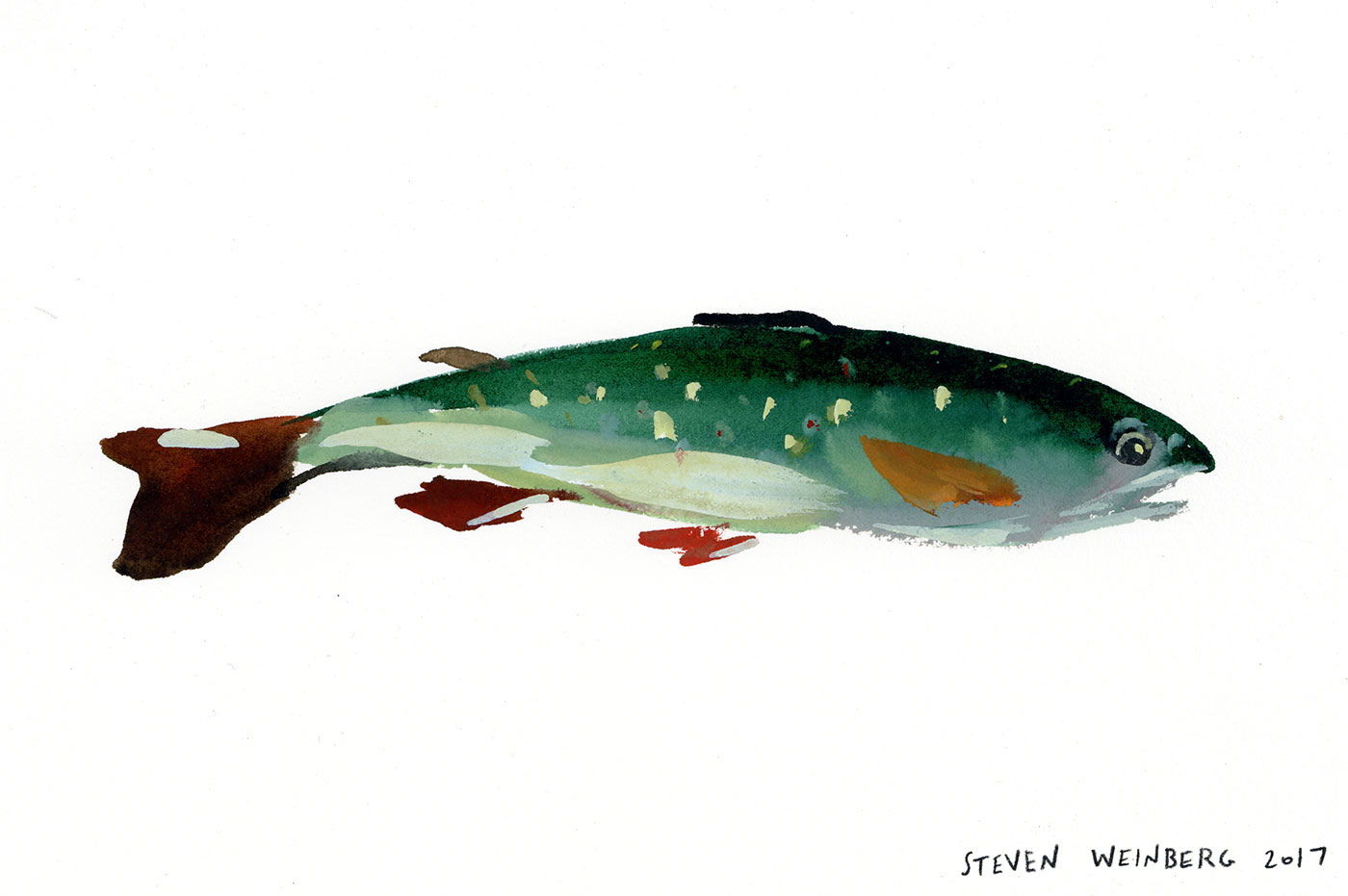 Shocked Watercolor on paper. 7" x 10" $340