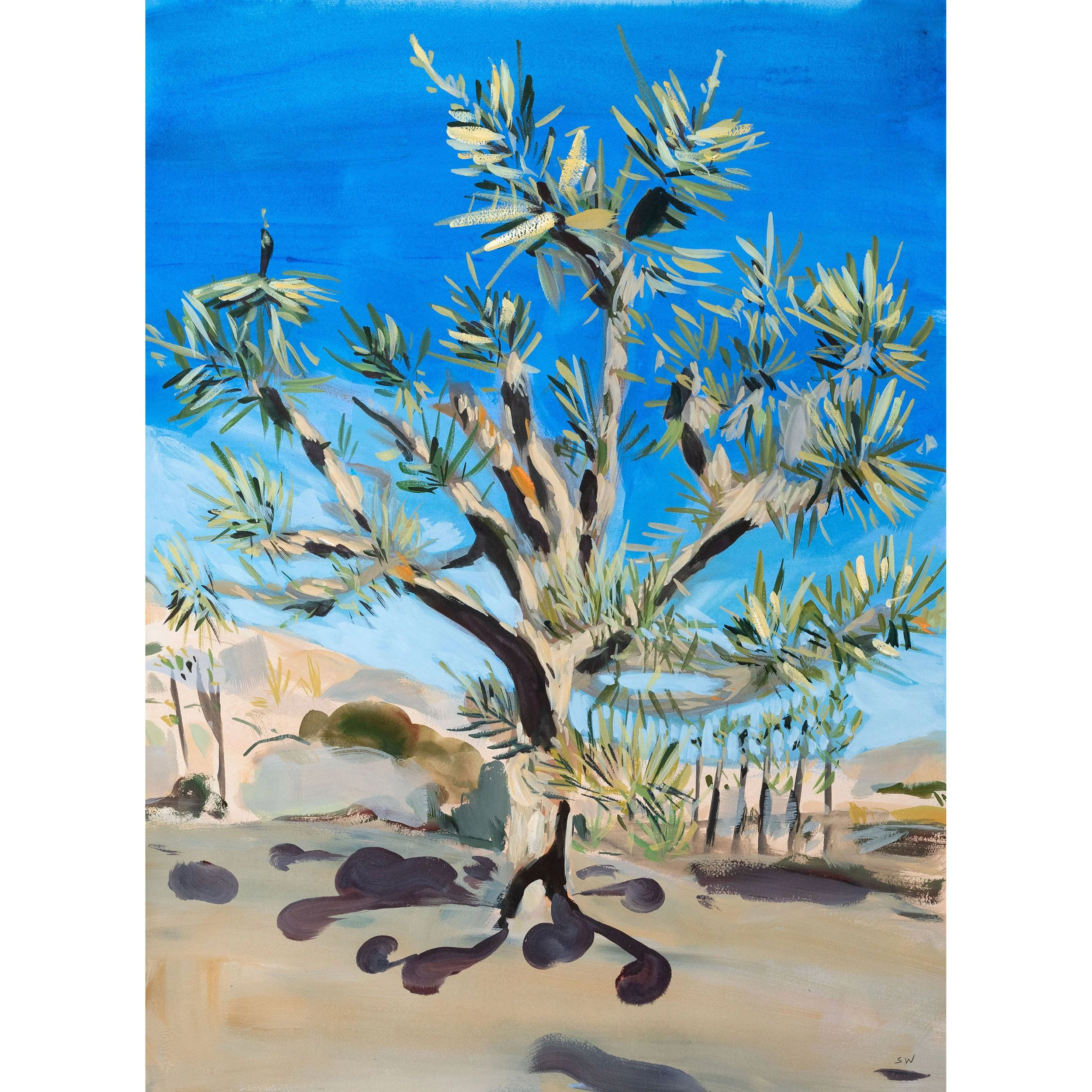 big-joshua-tree-sq.jpg