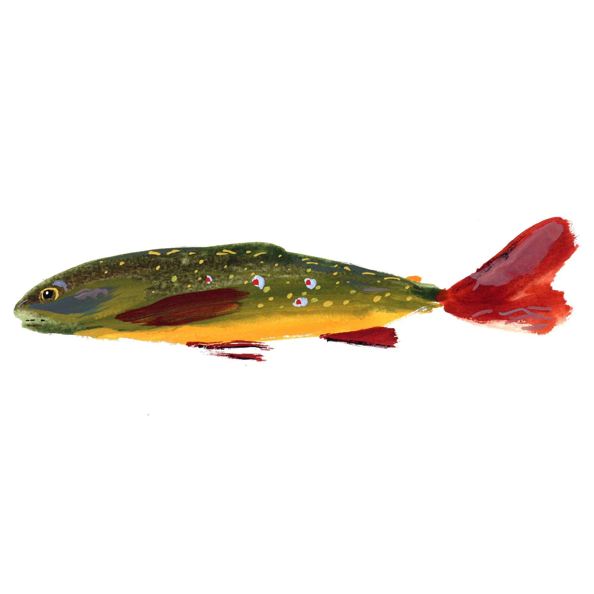 october-brookie2.jpg