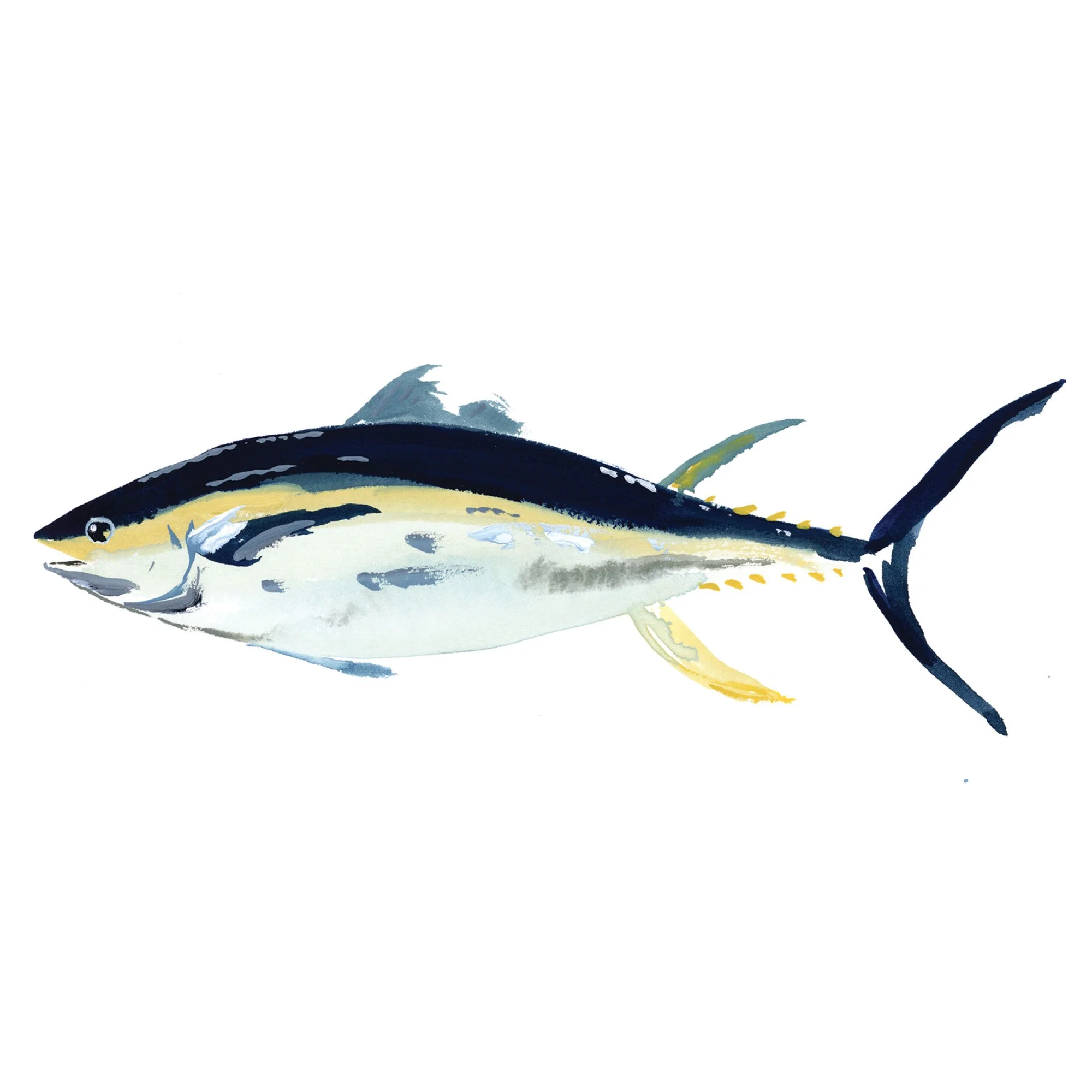 bluefin-tuna.jpg