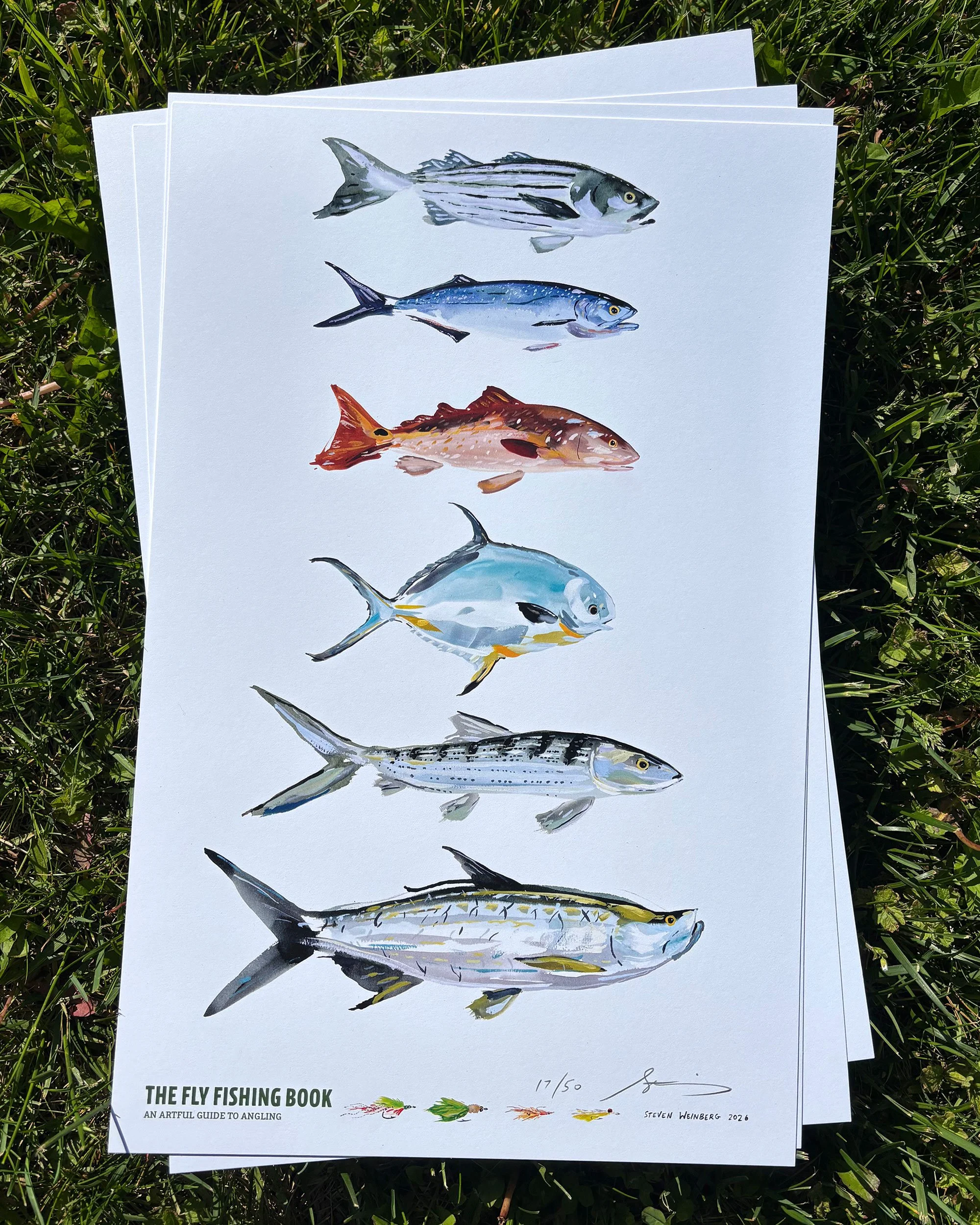 saltprintphoto.jpg