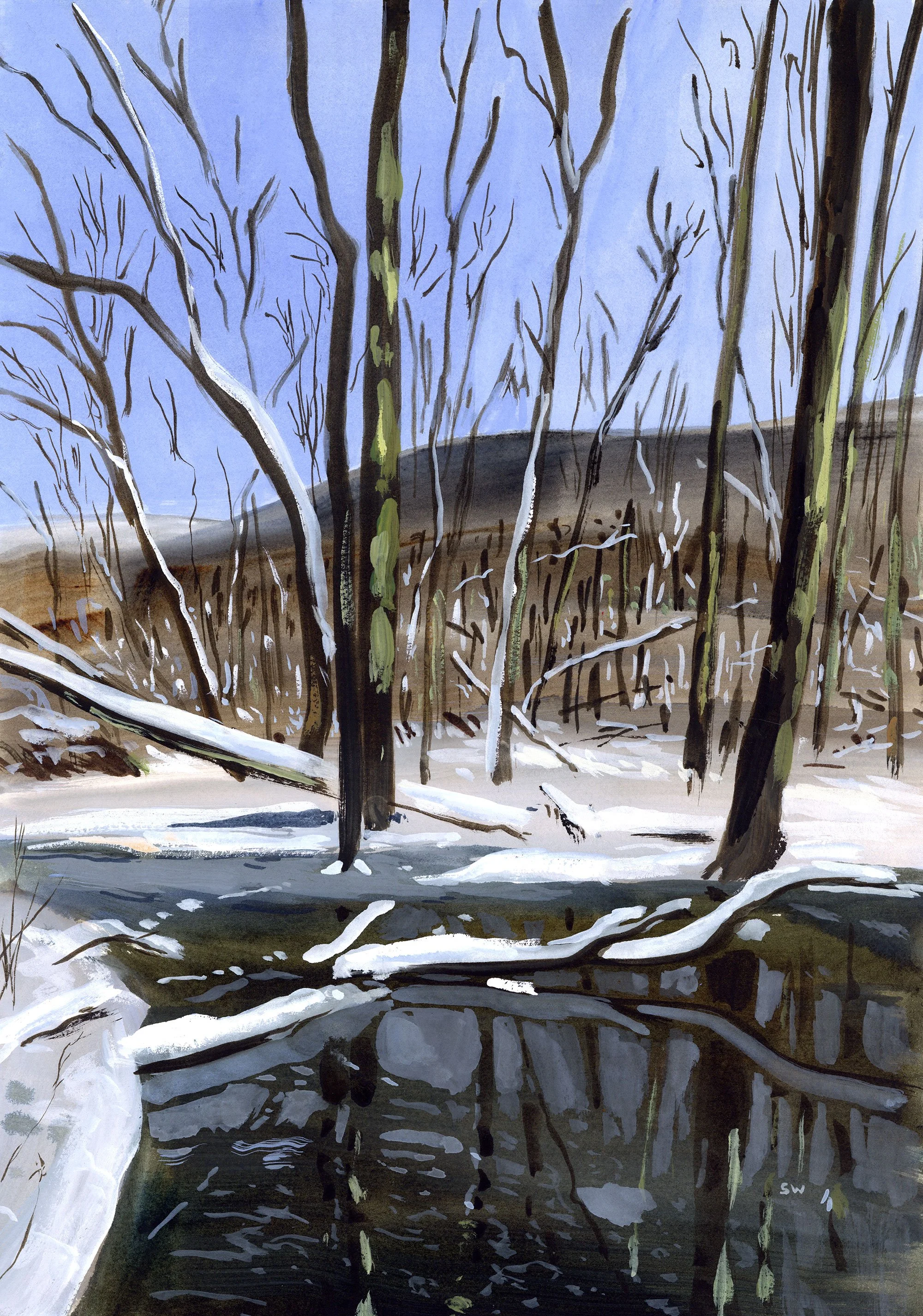 Beaver-pond-2k.jpg