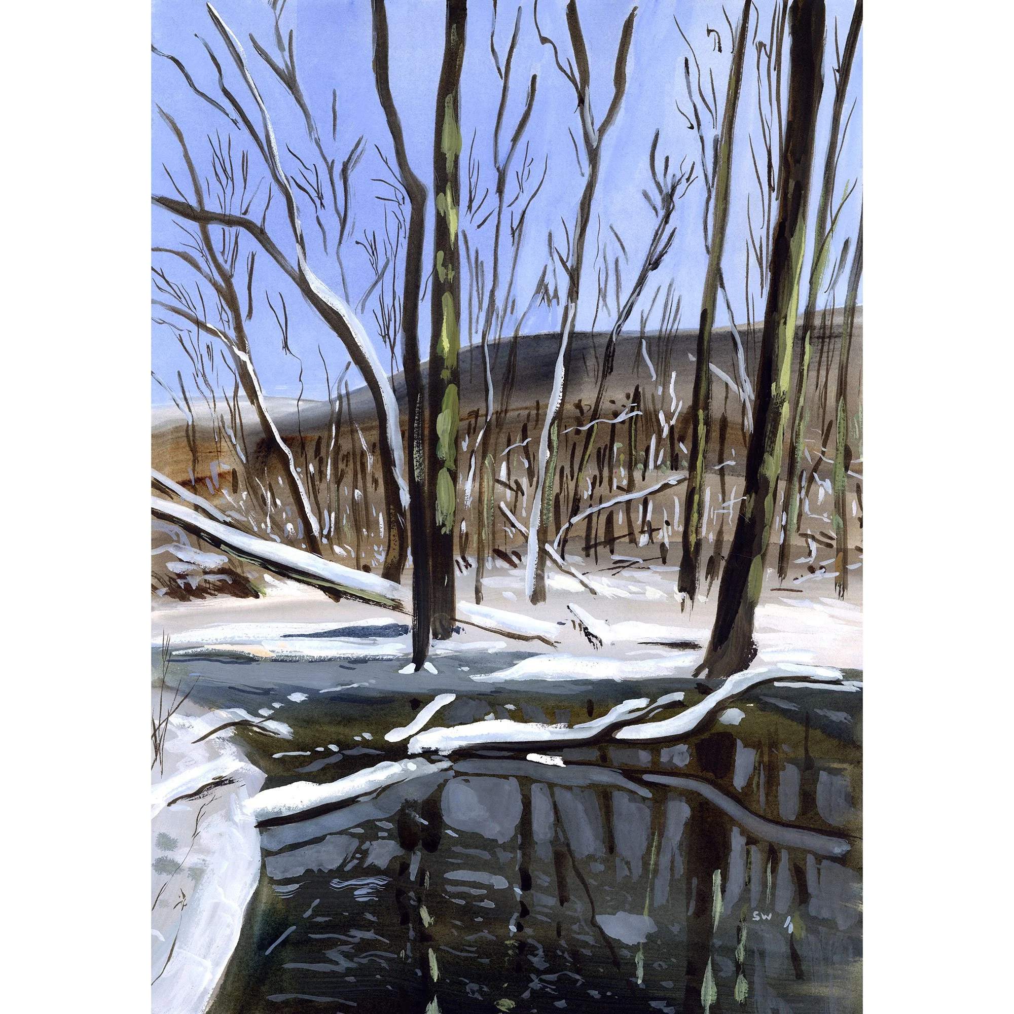 Beaver-pond-sq.jpg