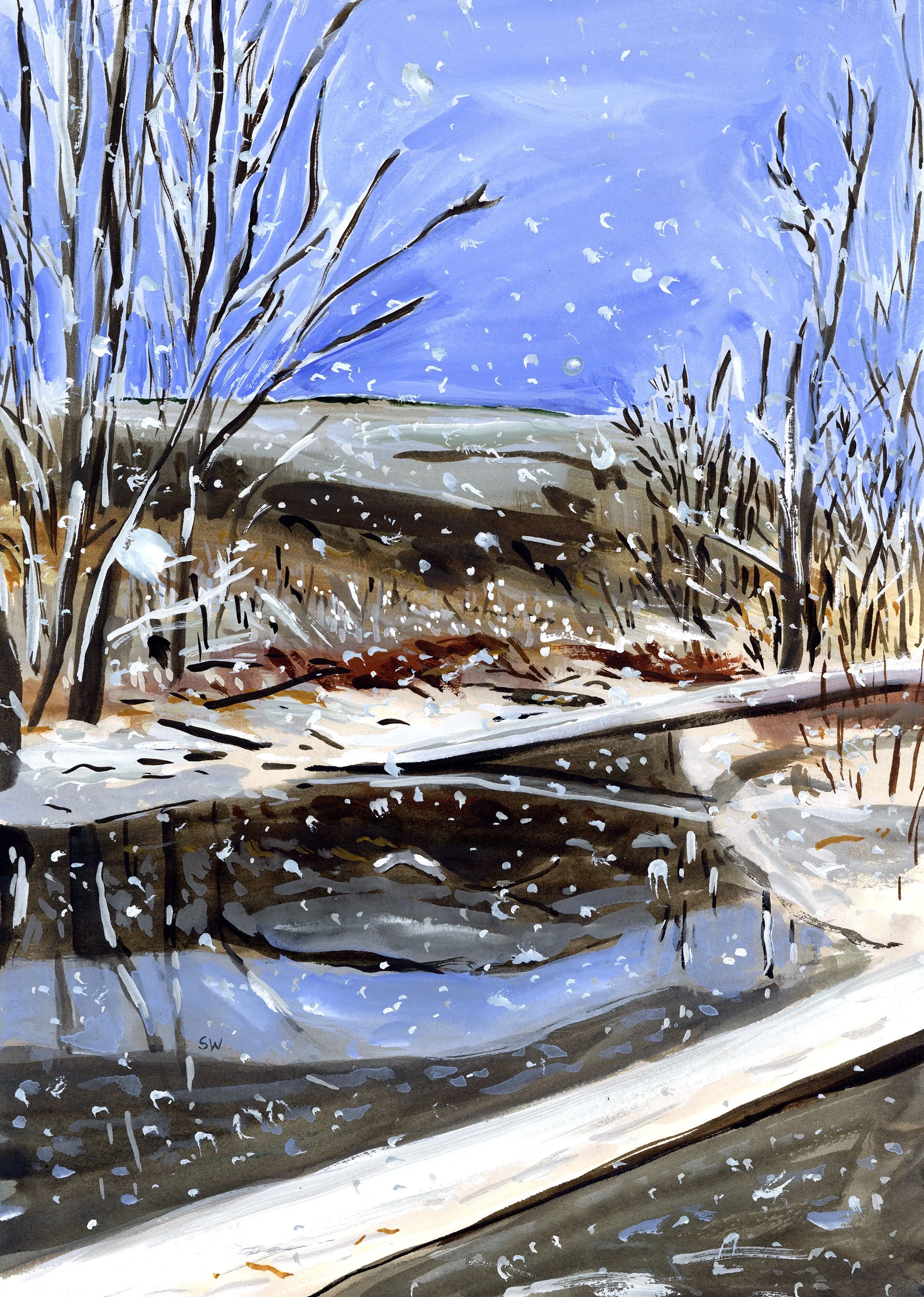 snowy-pond.jpg