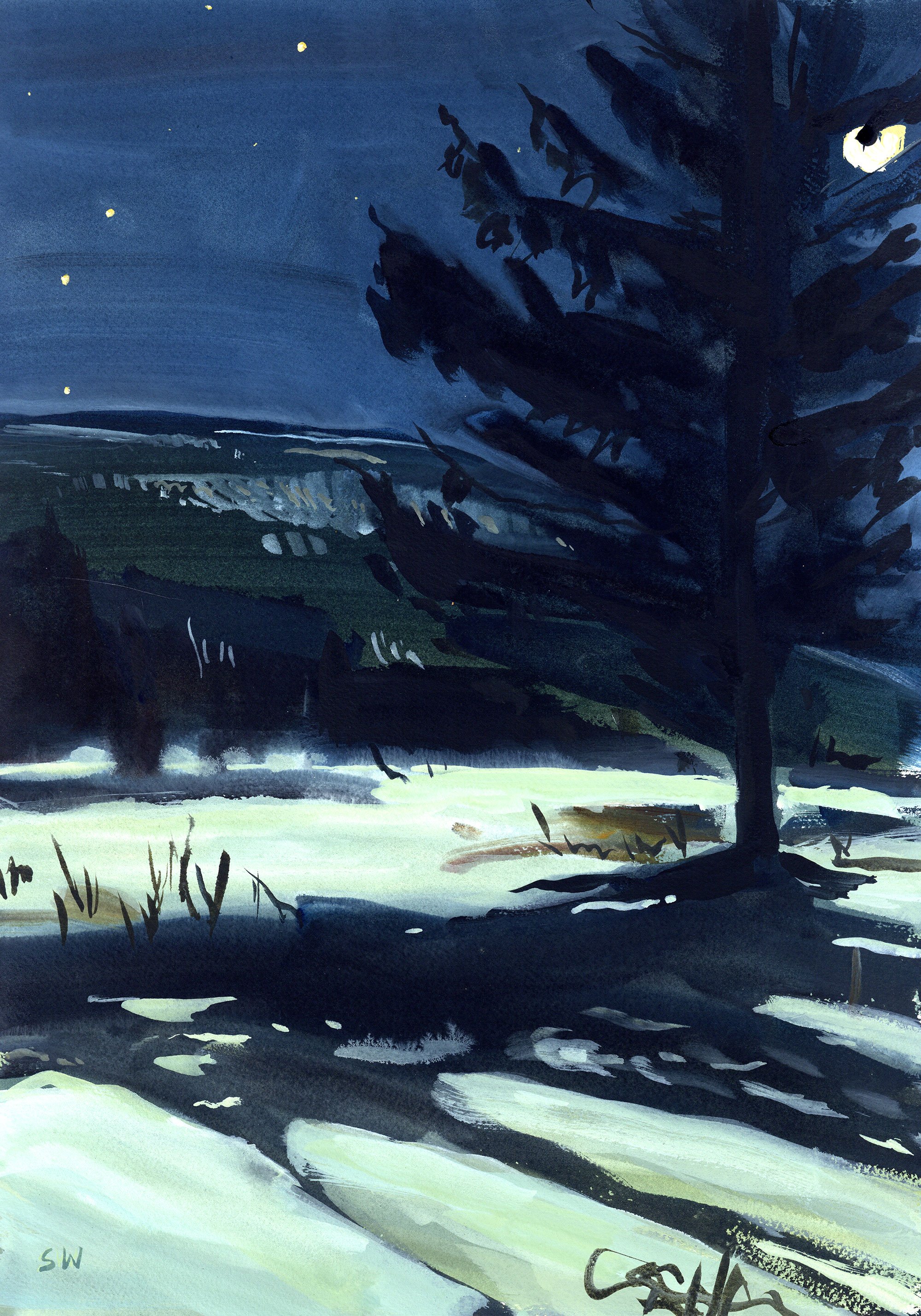 big-dipper-full-moon-spruce-shadow2.jpg