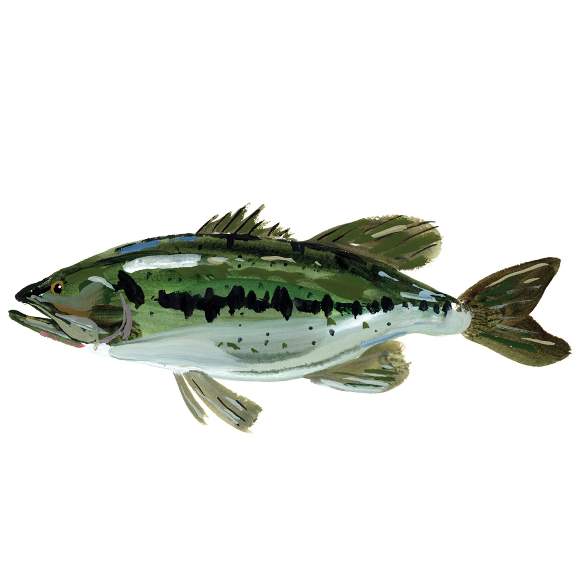 largemouth-bass.jpg