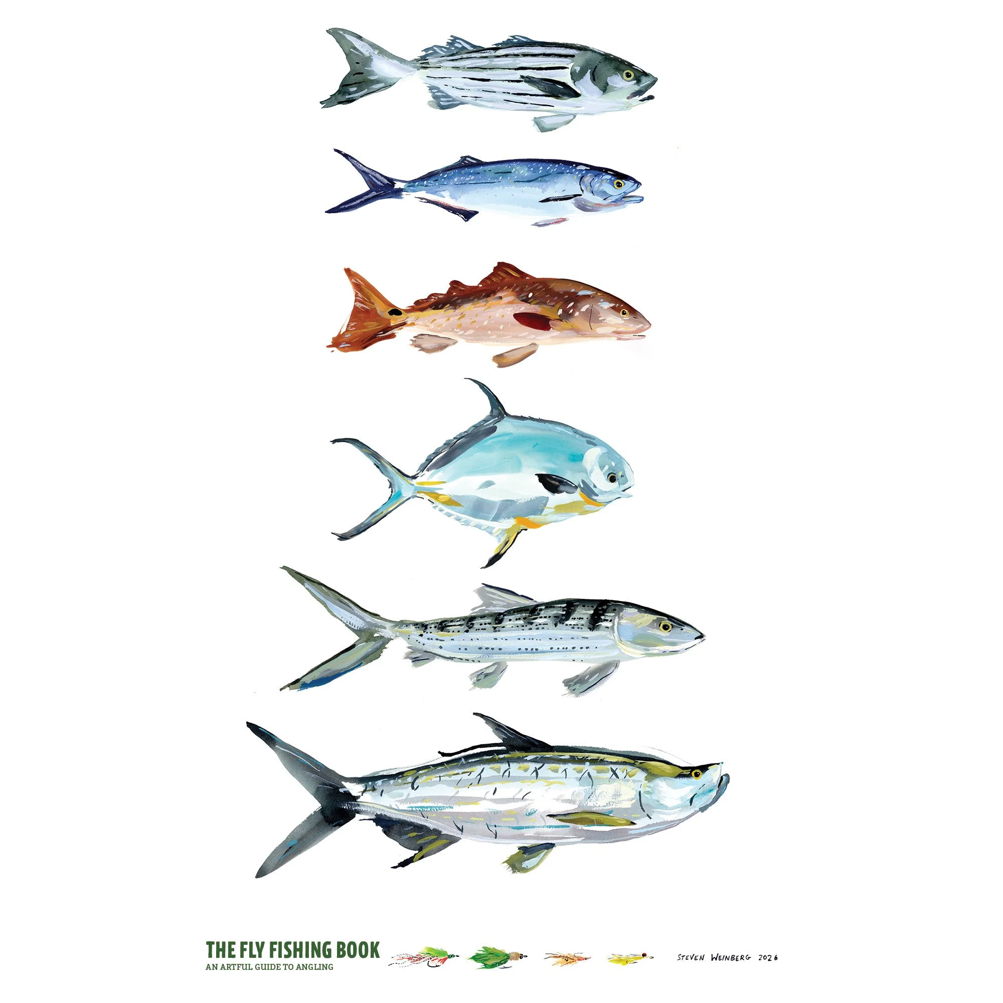 saltwater-fishsq.jpg
