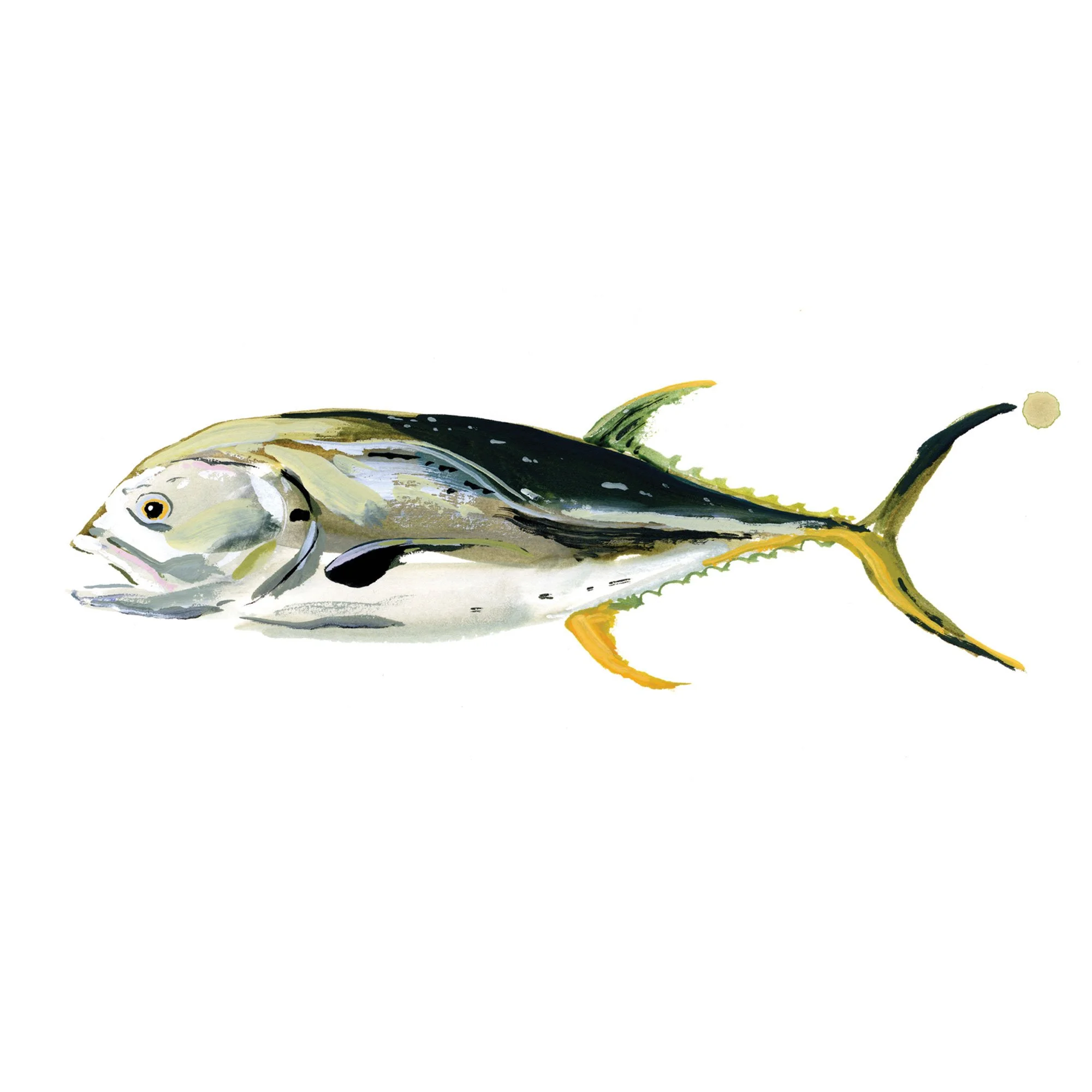 jack-crevalle.jpg